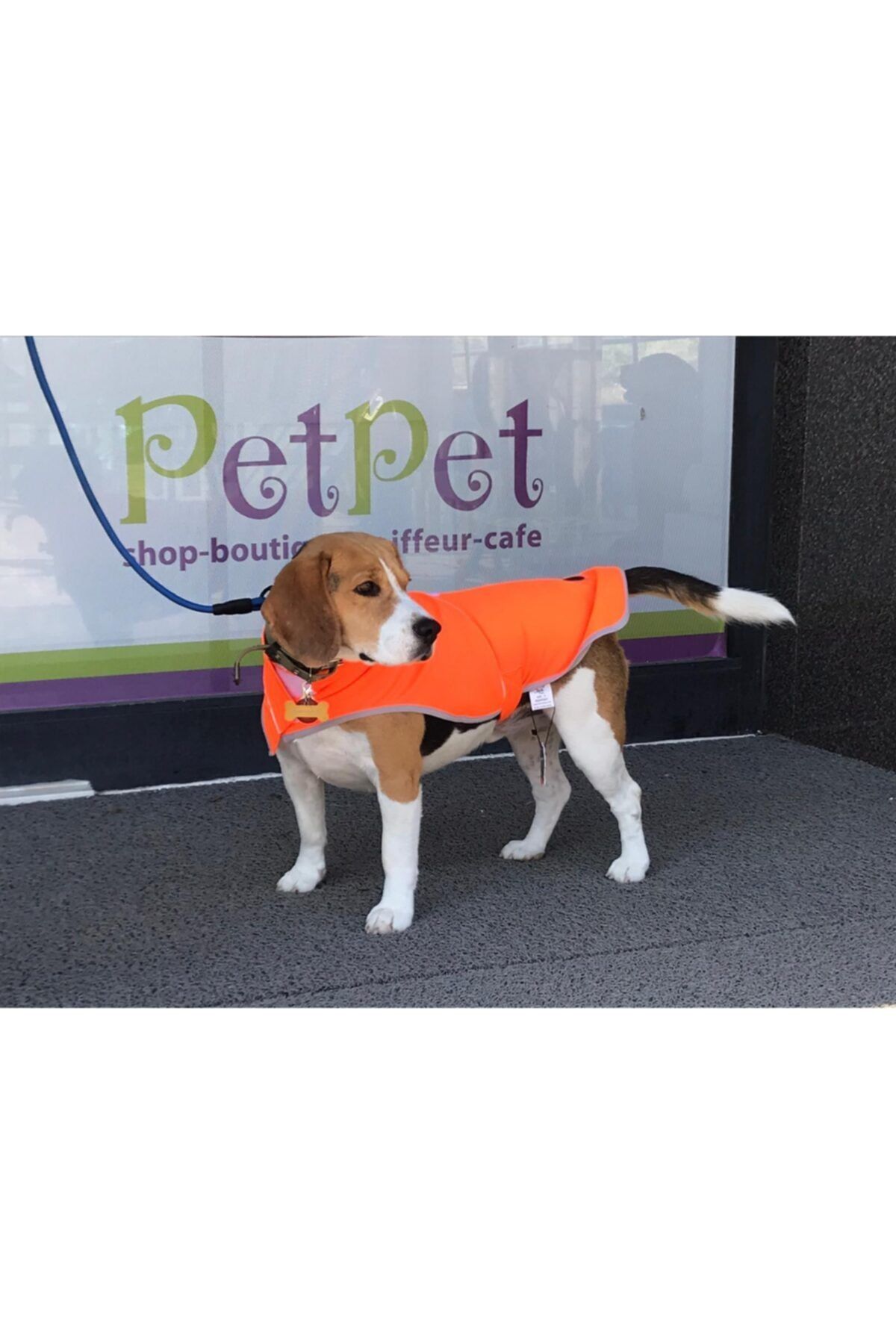 Lindodogs Petpet Neon Turuncu Köpek Yağmurluk