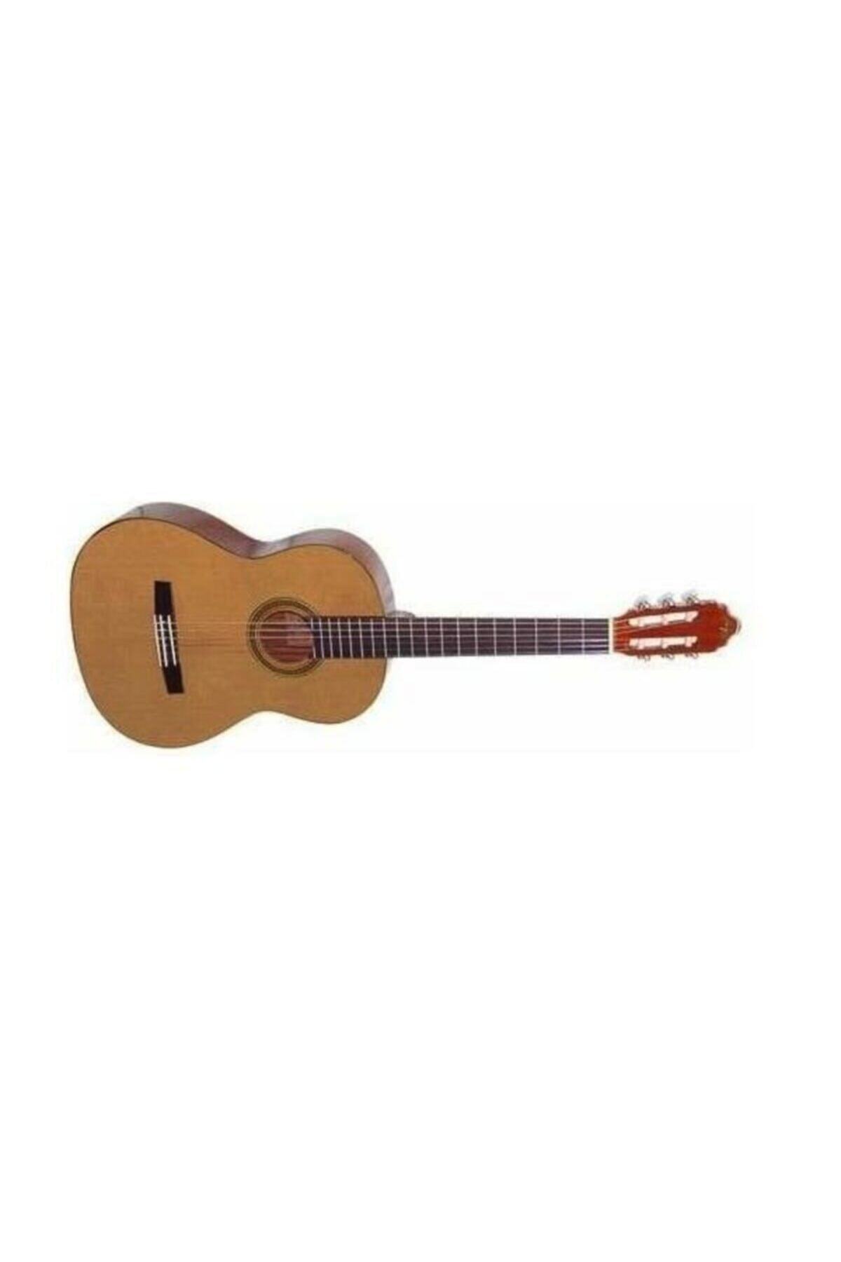 VALENCIA Cg30r34 Klasik Gitar, Scale 3/4, Parlak Natürel, Sed