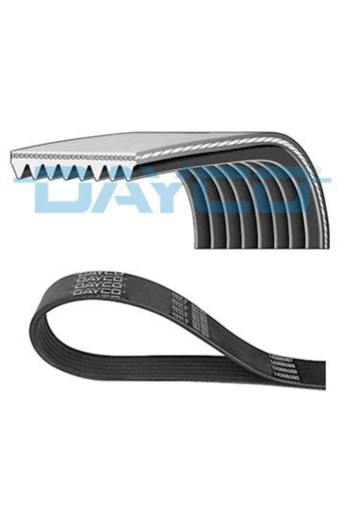 ÖZGÜÇYEDEK V Kayısı Kanallı Scanıa P-g-r-t Serı 04