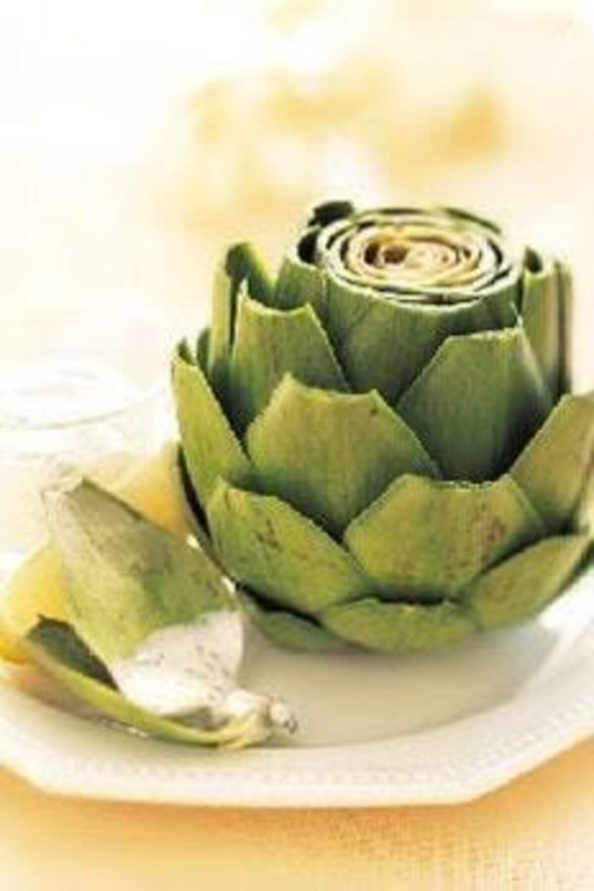 enginarsepeti Enginar Dolmalık 5 Adet