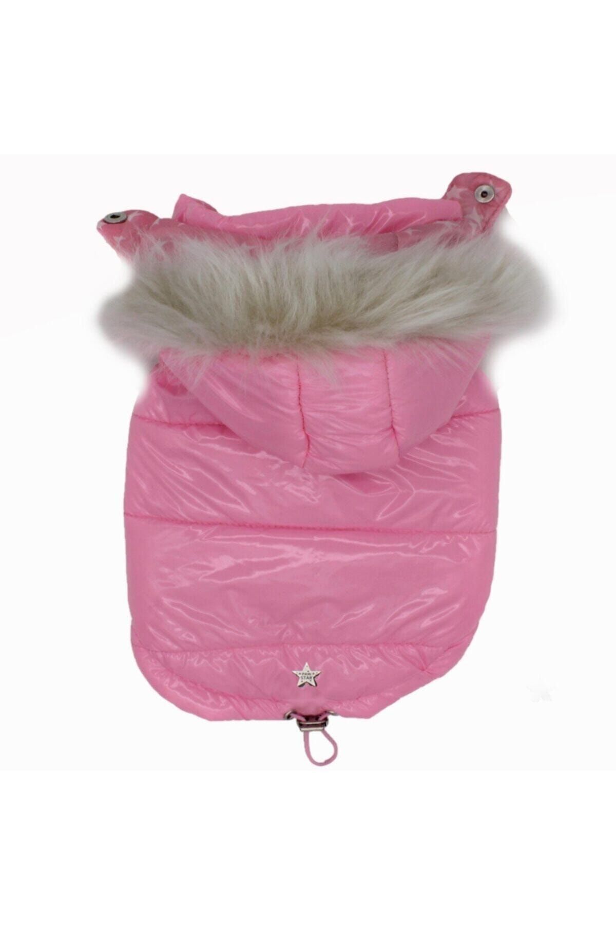 Pawstar Parlak, Pofuduk Pembe Köpek Montu
