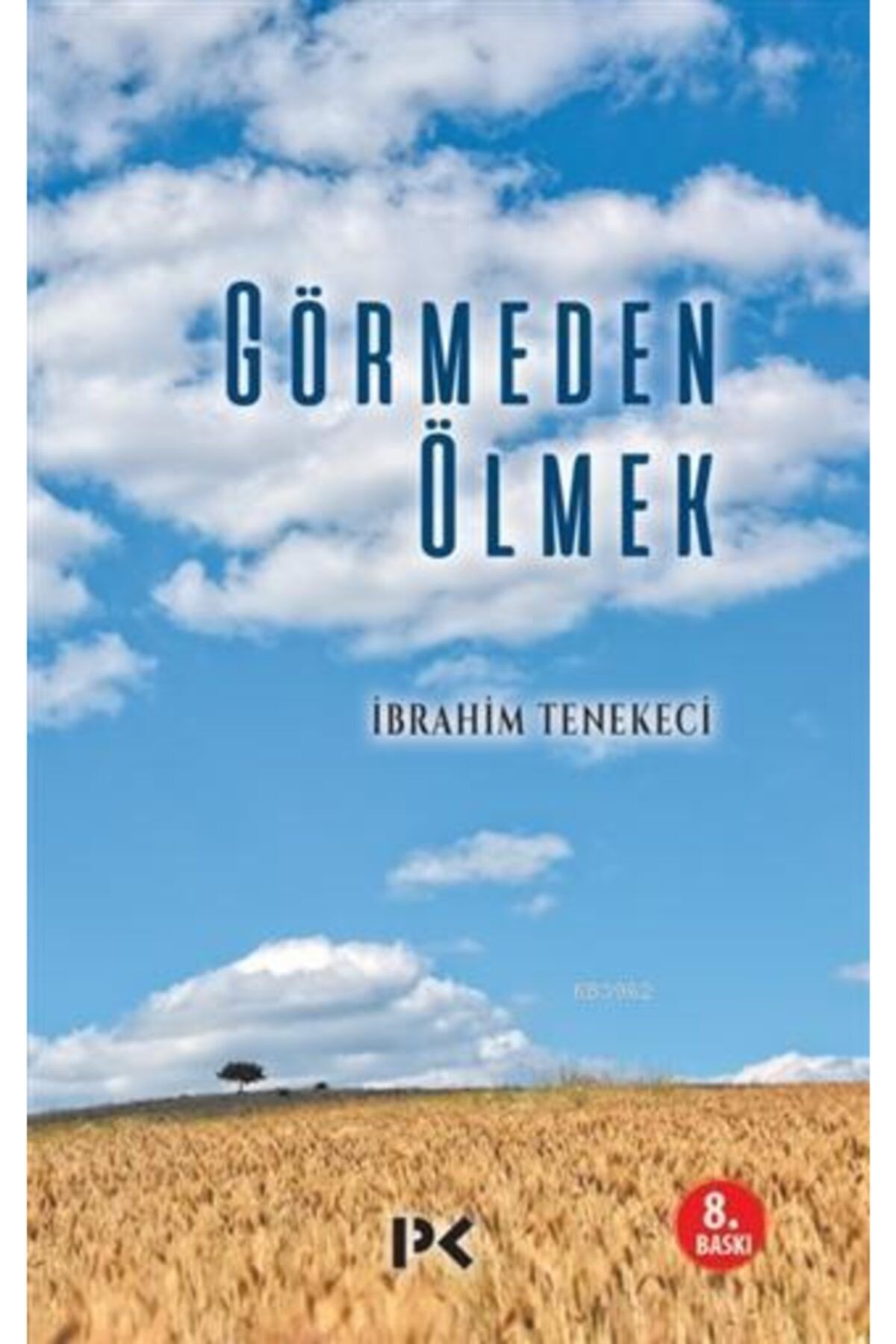 Profil Yayıncılık Görmeden Ölmek İbrahim Tenekeci