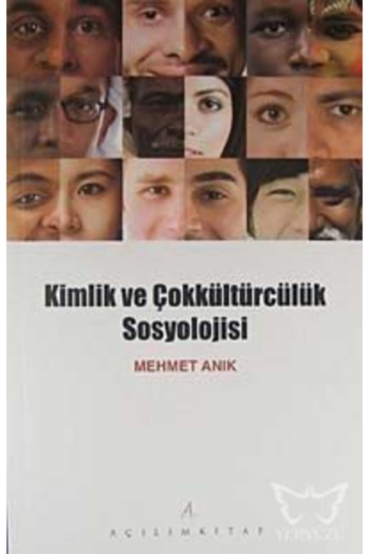 Açılım Kitap Kimlik Ve Çokkültürcülük Sosyolojisi