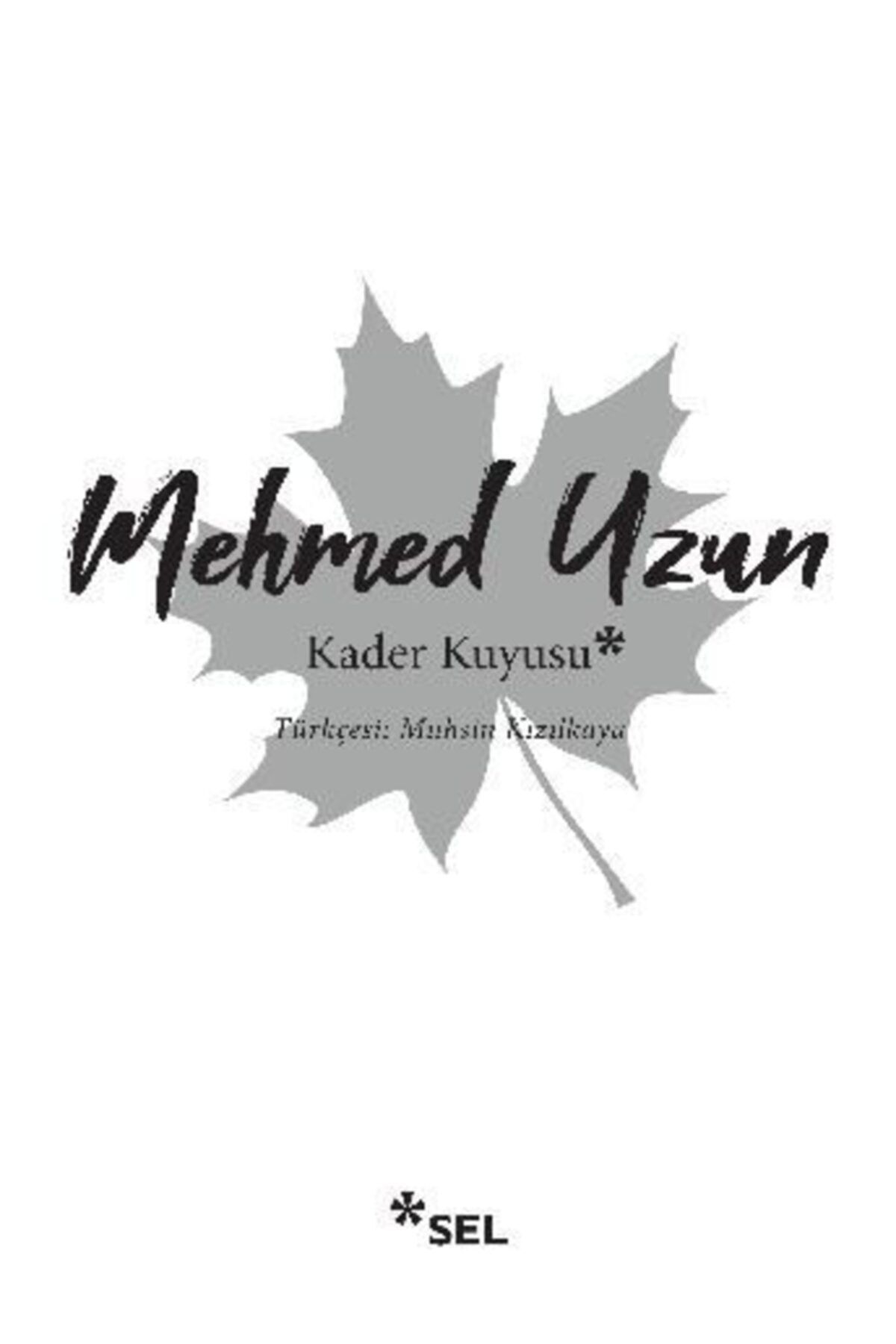 Sel Yayıncılık Kader Kuyusu