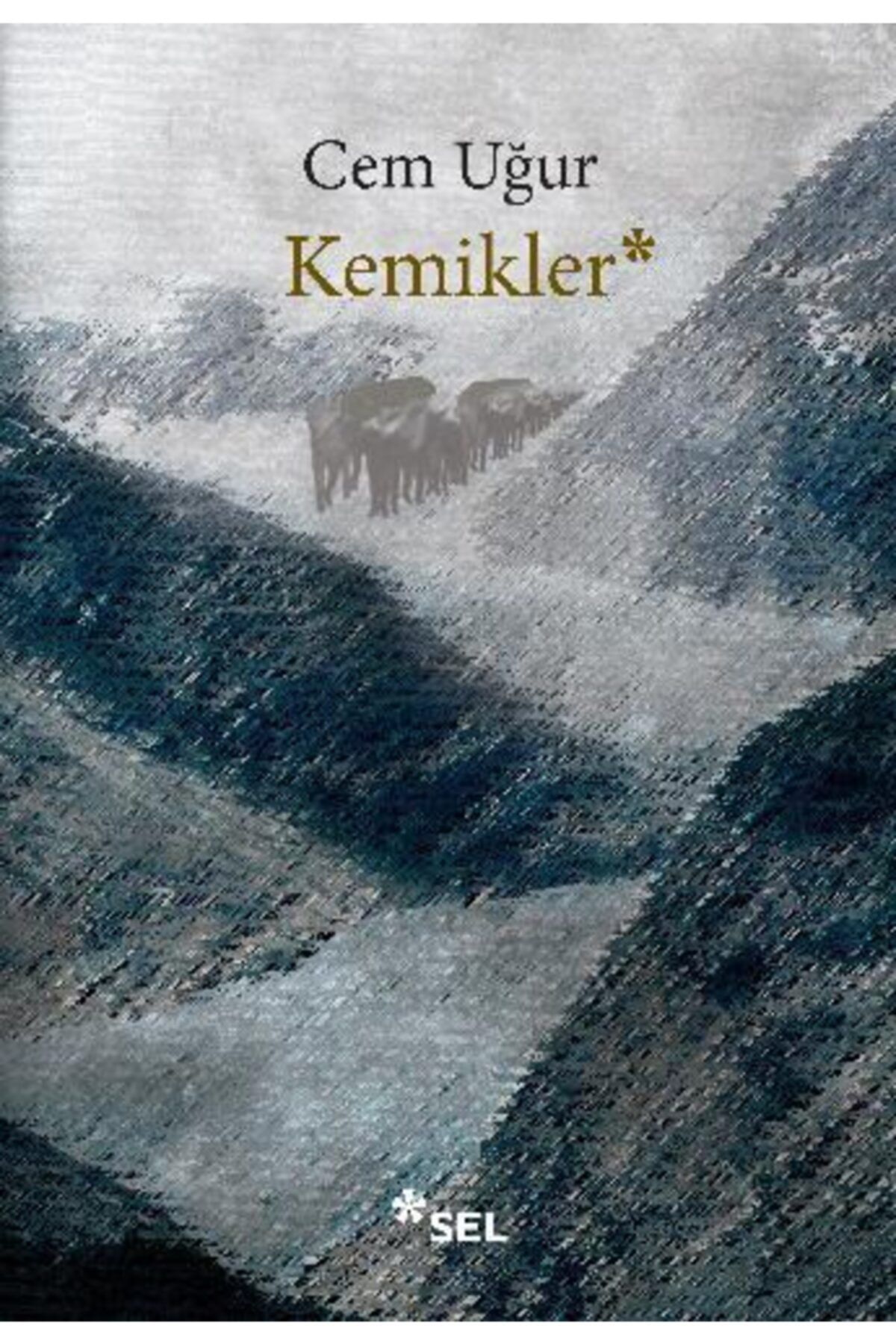 Sel Yayıncılık Kemikler