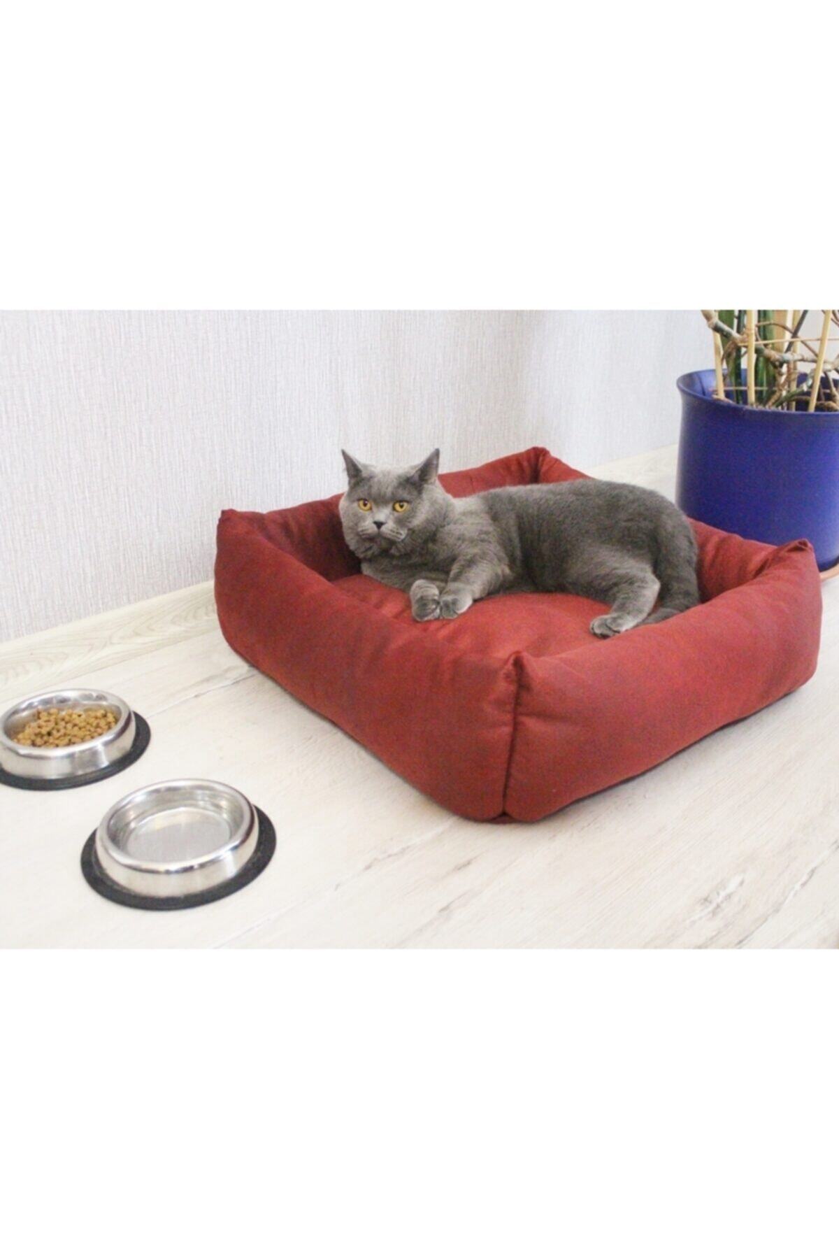 hommdecoo Kedi & Köpek Yatağı Tiger