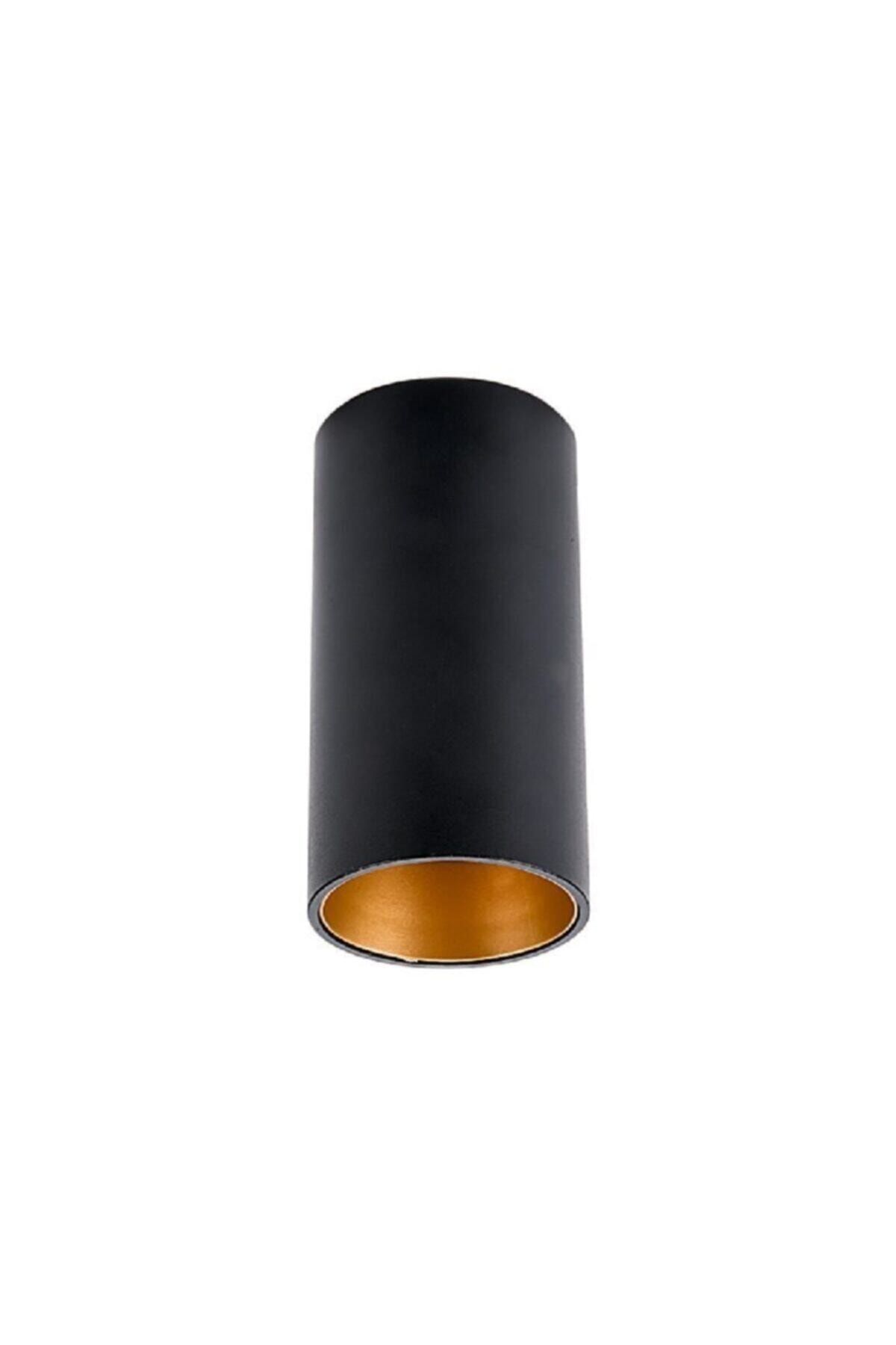 Cata Ct-5424 Asos Sıvaüstü Led Armatür Aplik (siyah-gold)