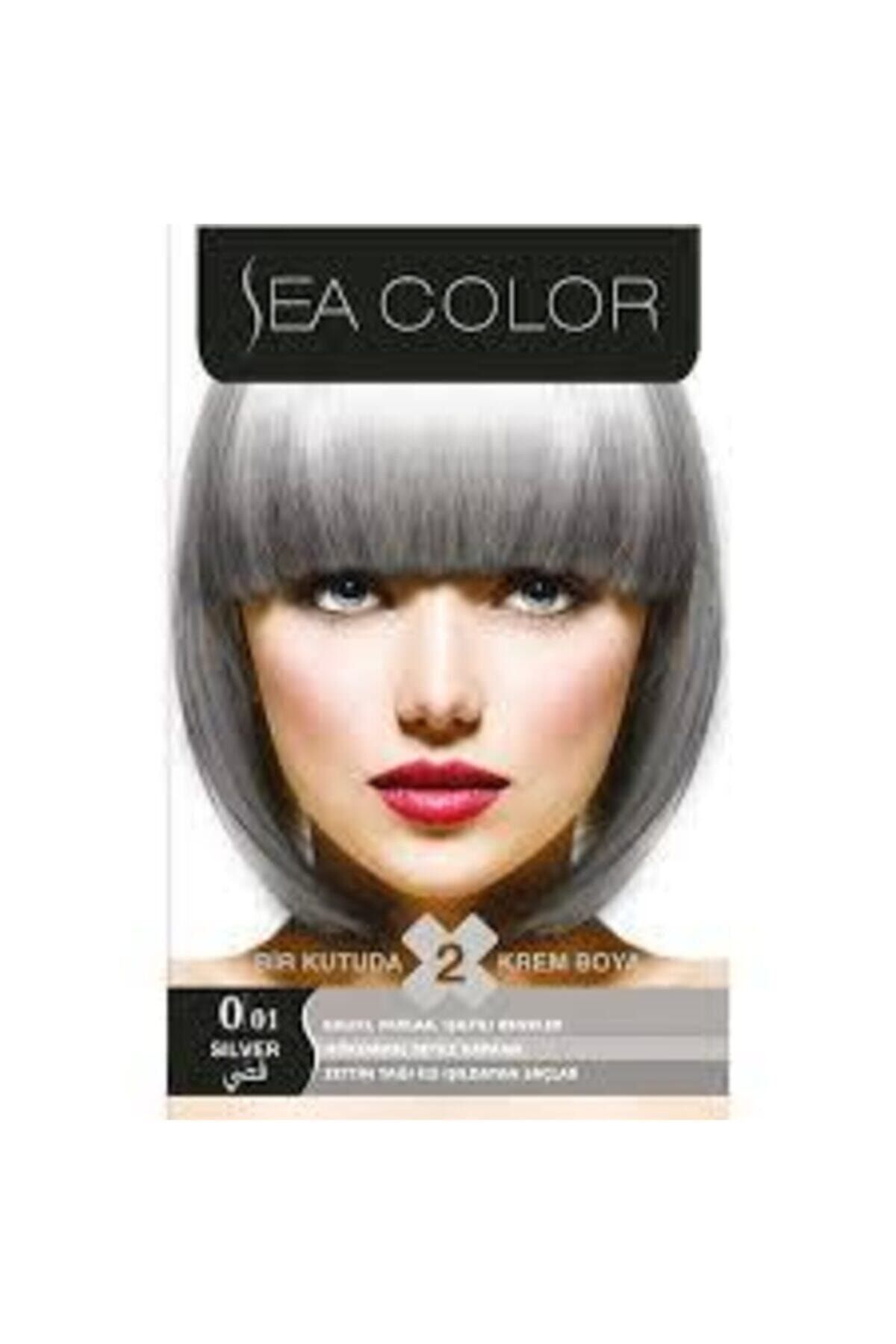 Sea Color Saç Boyası Füme Gri 0.01