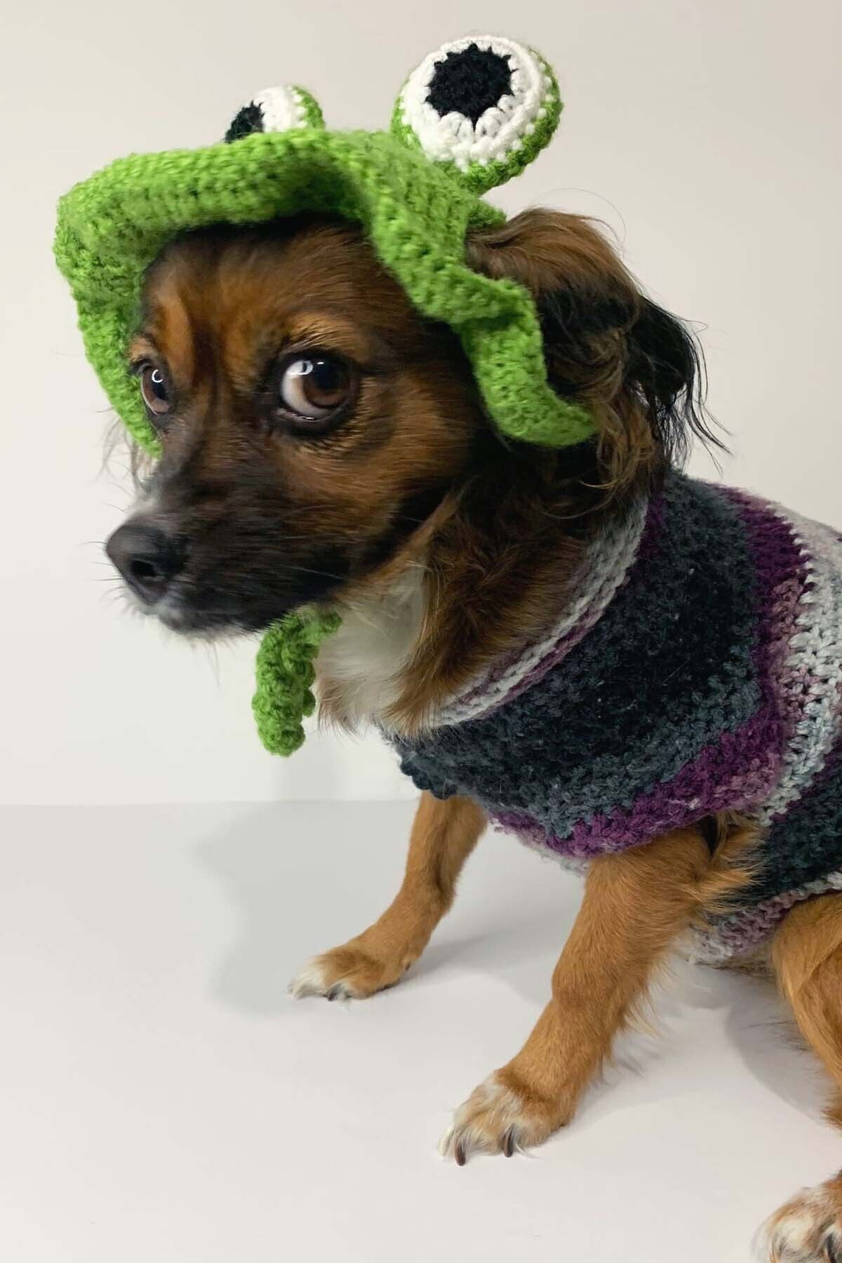 Liygge Butik Kurbağa Bucket Kova Köpek Şapkası