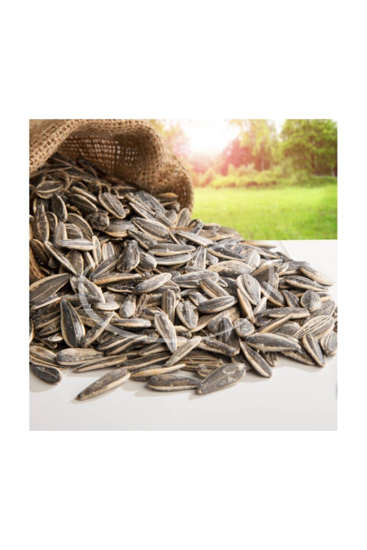 OrganikAVM Dakota Siyah Tuzlu Çekirdek 5 kg