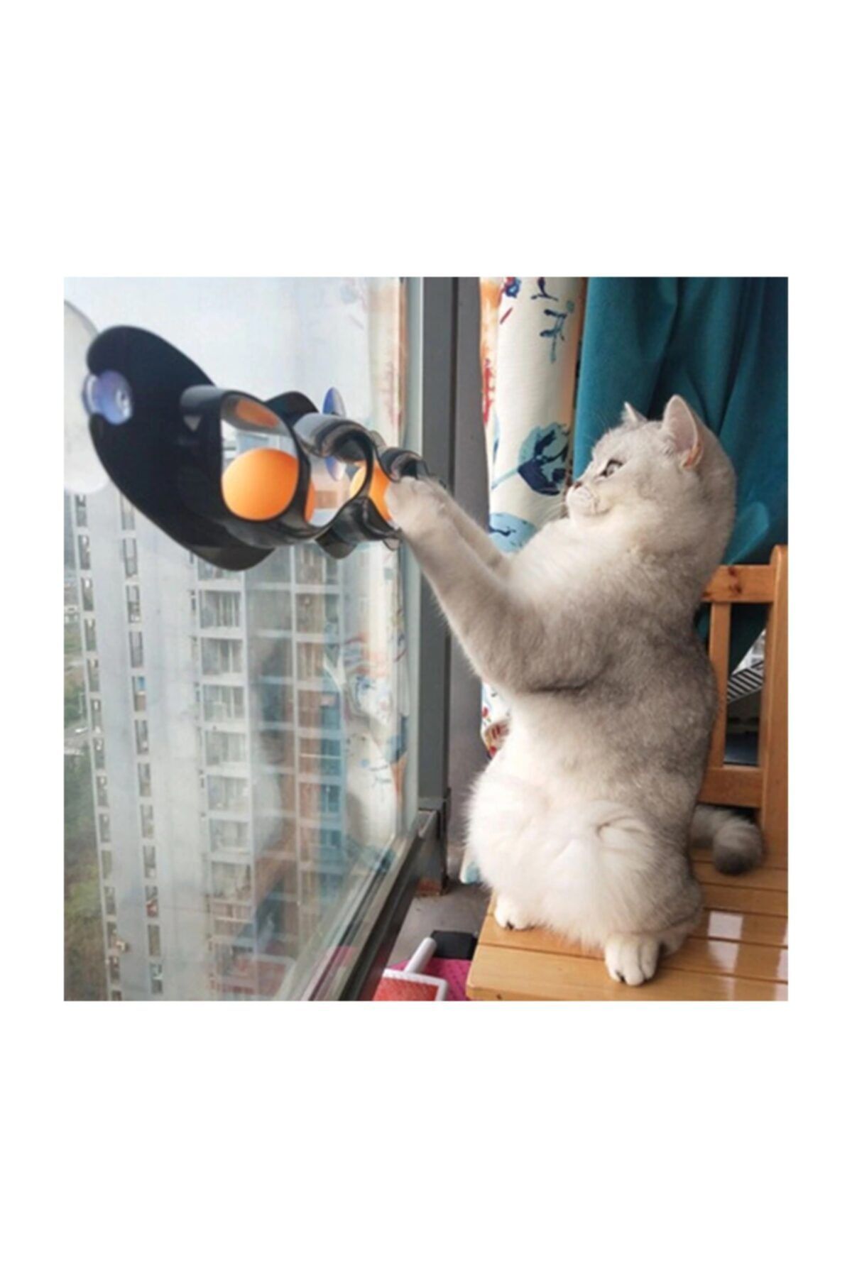 Pi İthalat Zampa Iki Toplu Vantuzlu Kedi Oyun Tüneli
