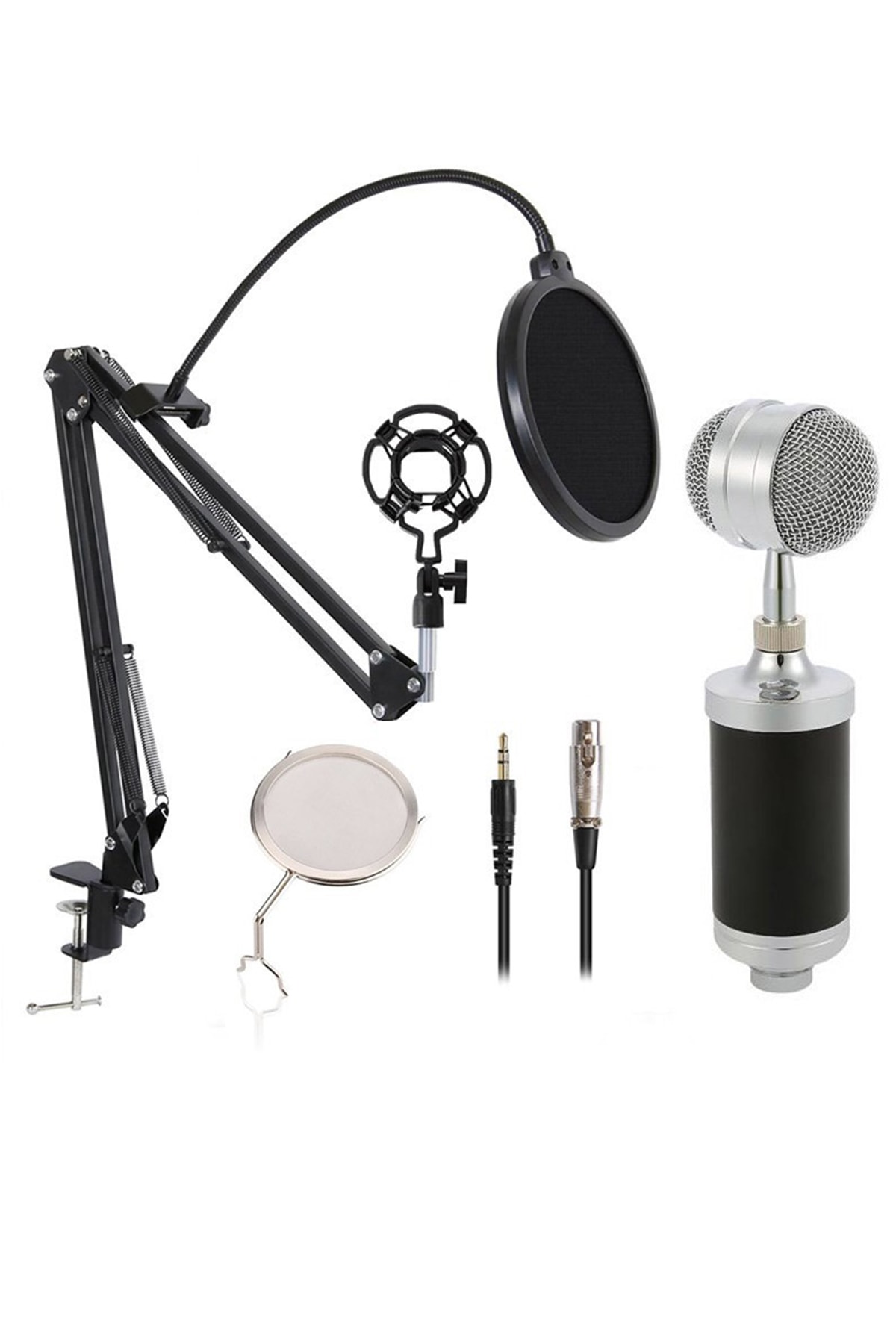 Coverzone 6 In 1 Profesyonel Standlı Youtuber Kondenser Mikrofonpop Filtre