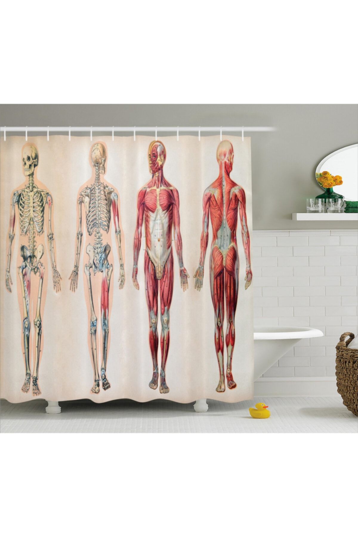 Orange Venue Hobiler Duş Perdesi Insan Anatomisi Desenli 180x200 cm