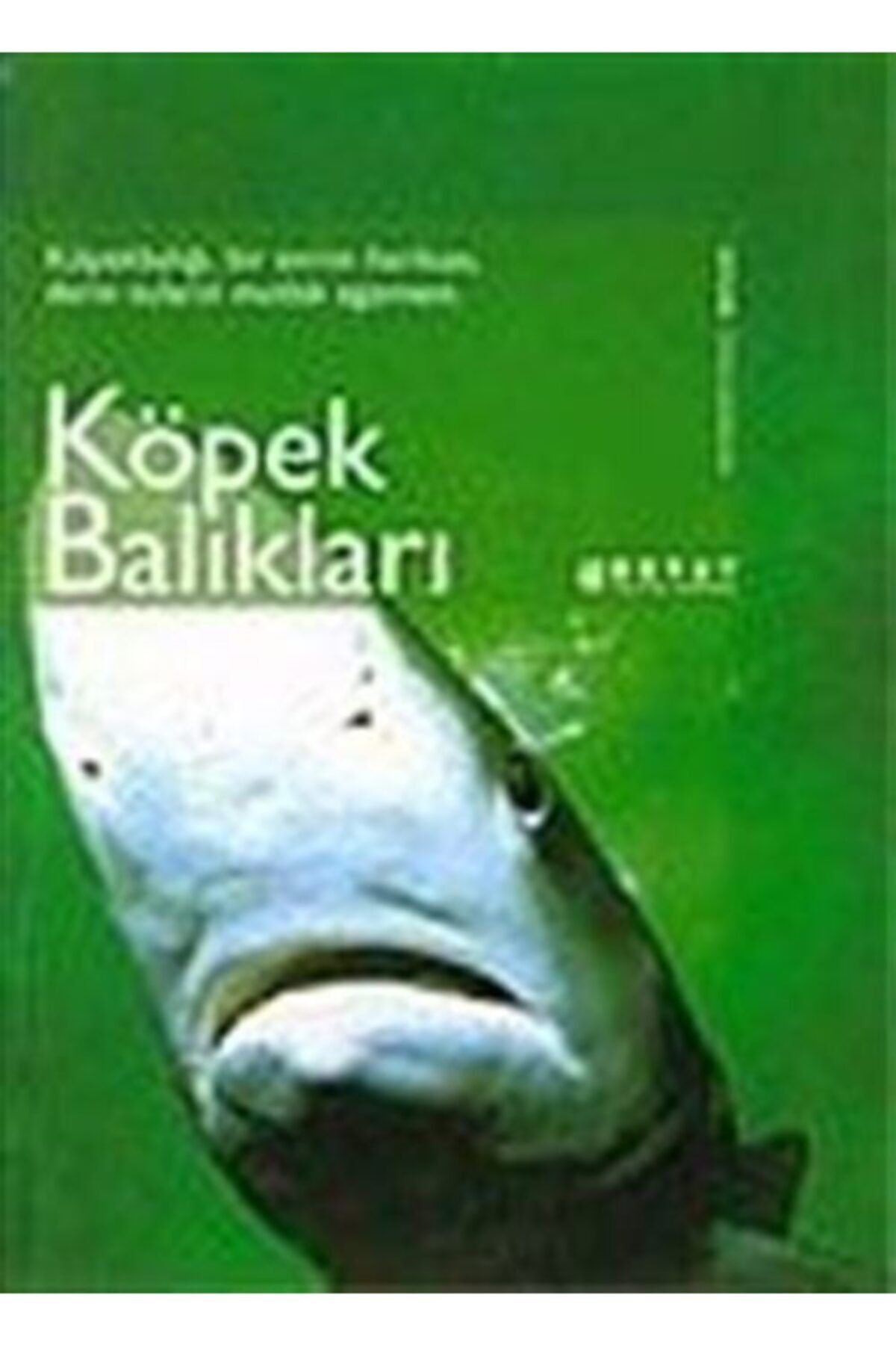 Boyut Yayın Grubu Köpek Balıkları Nature Doğa Cennetleri