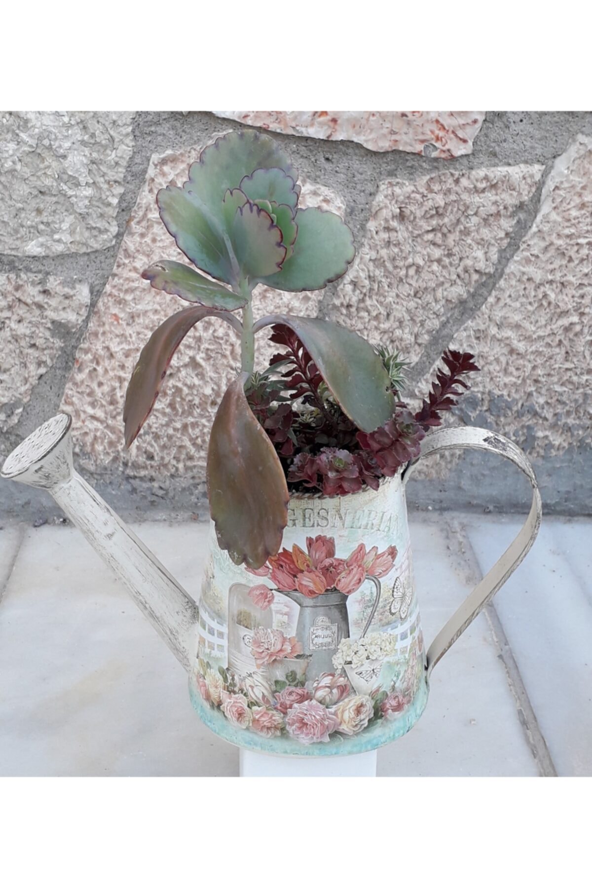 KARE Dekoratif Sulama Kabında Sukulent Arajmanı