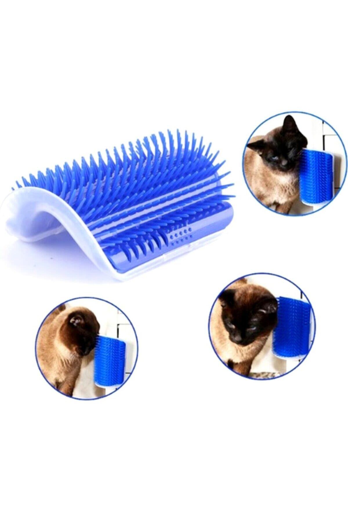 BİTERSE Catit Pratik Kedi Kaşınma Aparatı (mavi)