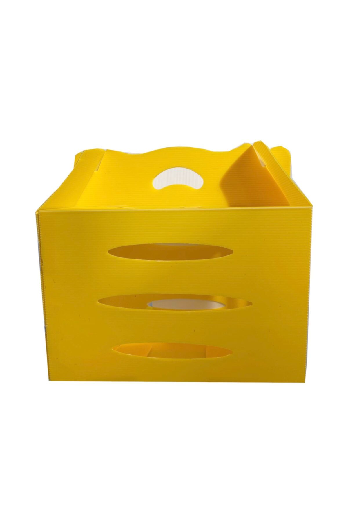Maskot Ekonomik Pp Kedi Taşıma Kutusu 23*30*44 cm
