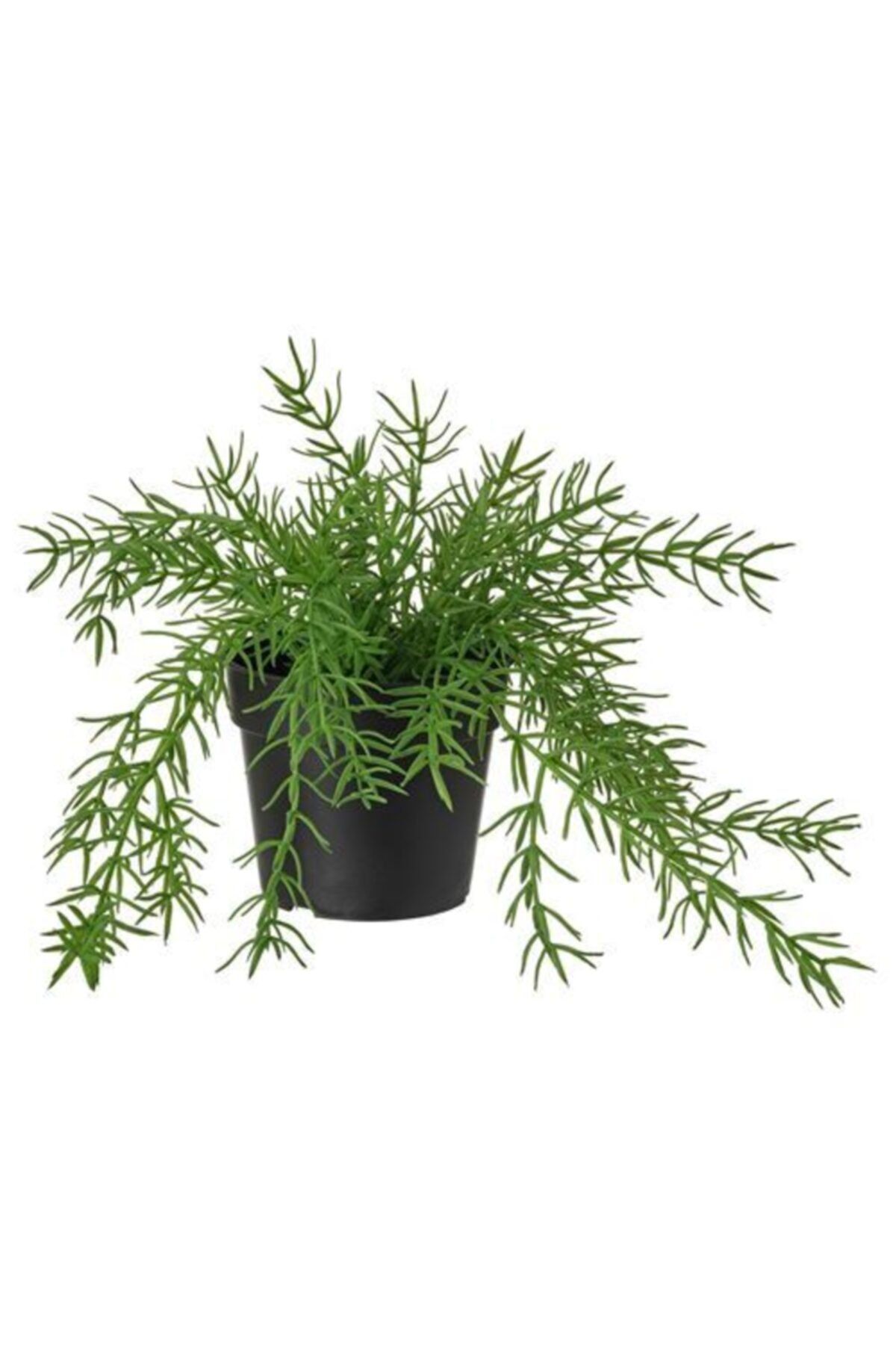 ikea yapay cicek okse otu yesil meridyendukkan 9 cm yapay bitki ev dekorasyon fiyati yorumlari trendyol