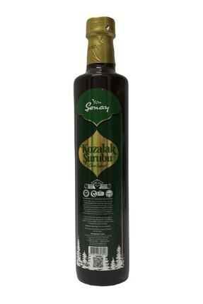 Kozalak Şurubu 650 gr Image 0