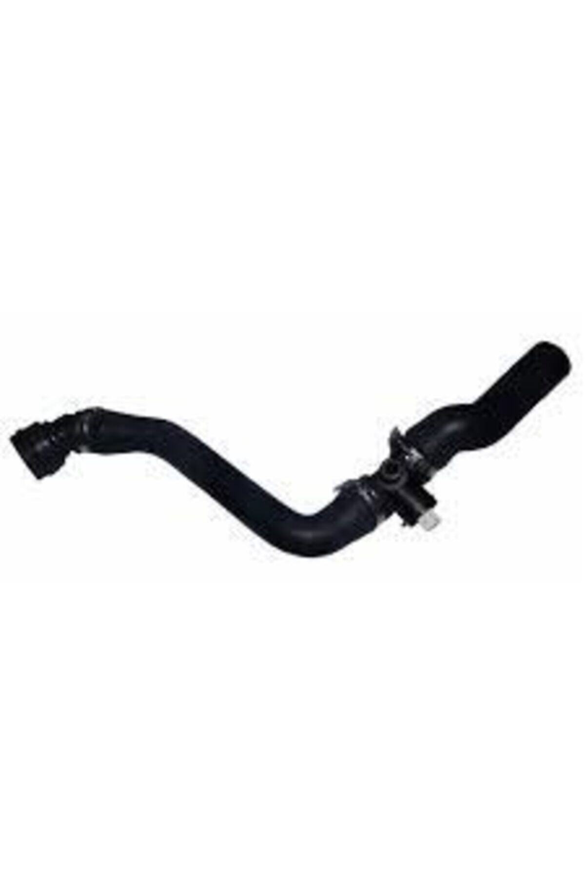 ASLANLAR OTOMOTİV Radyator Hortumu Vw Golf Iv Bora Audı A3 Seat