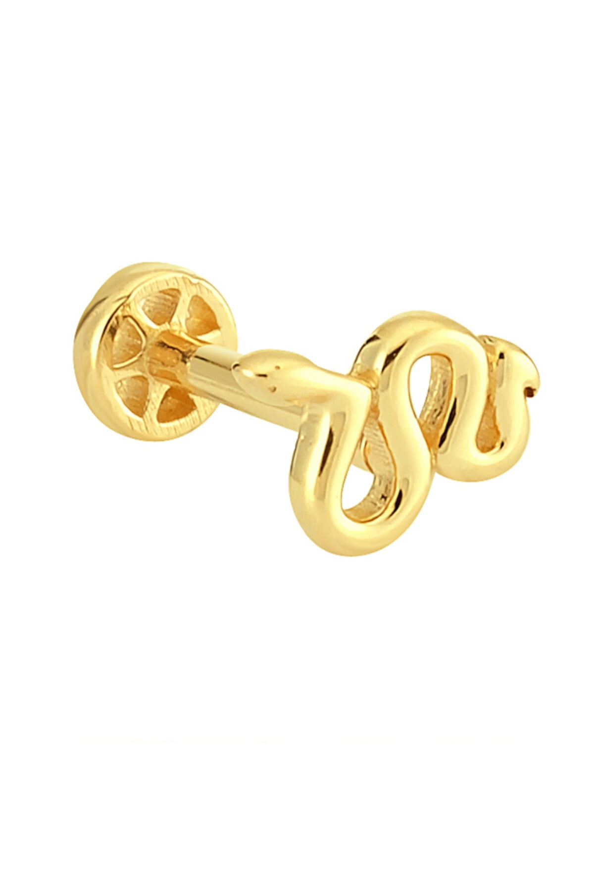 Dianora Piercing Yılan Altın Tragus Piercing