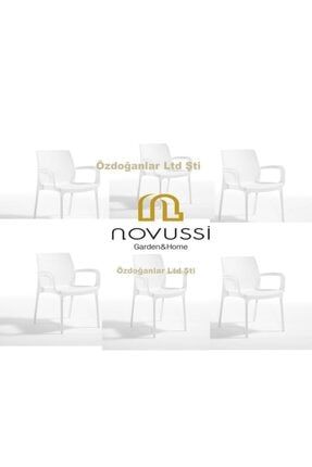 Novussi Royal Sandalye