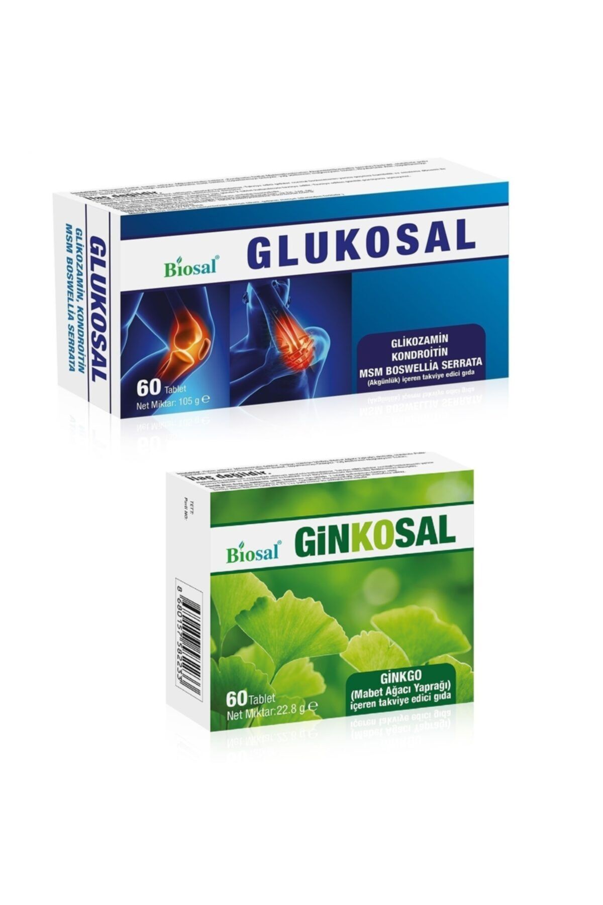 Biosal Glukozamin Kondroitin Msm Tablet + Ginkgo Biloba Tablet