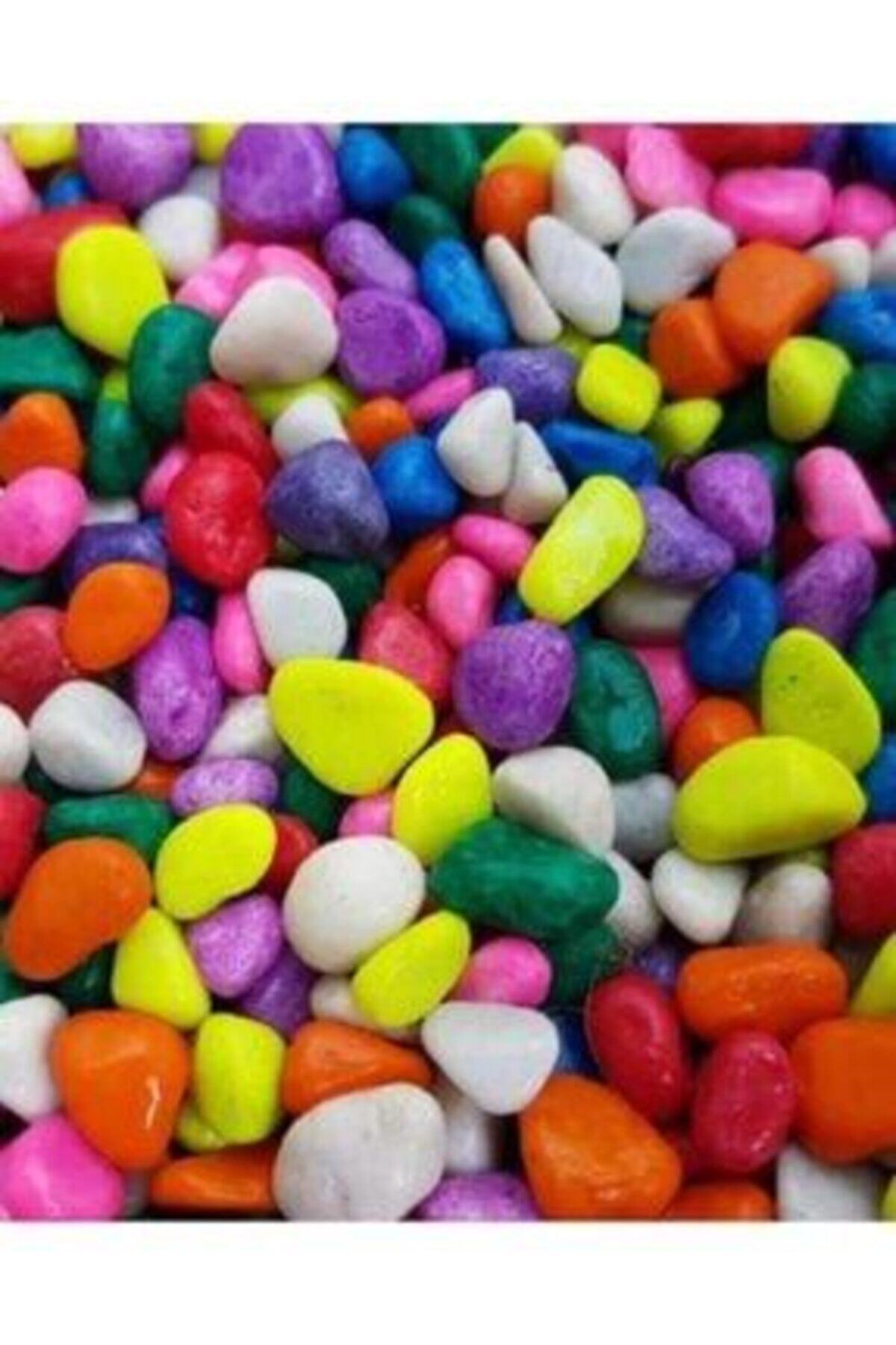 Taş Tasarım Akvaryum Teraryum Fanus Süsleme Bahçe Süs Dekor Renkli Çakıl Taşı 2 Kg