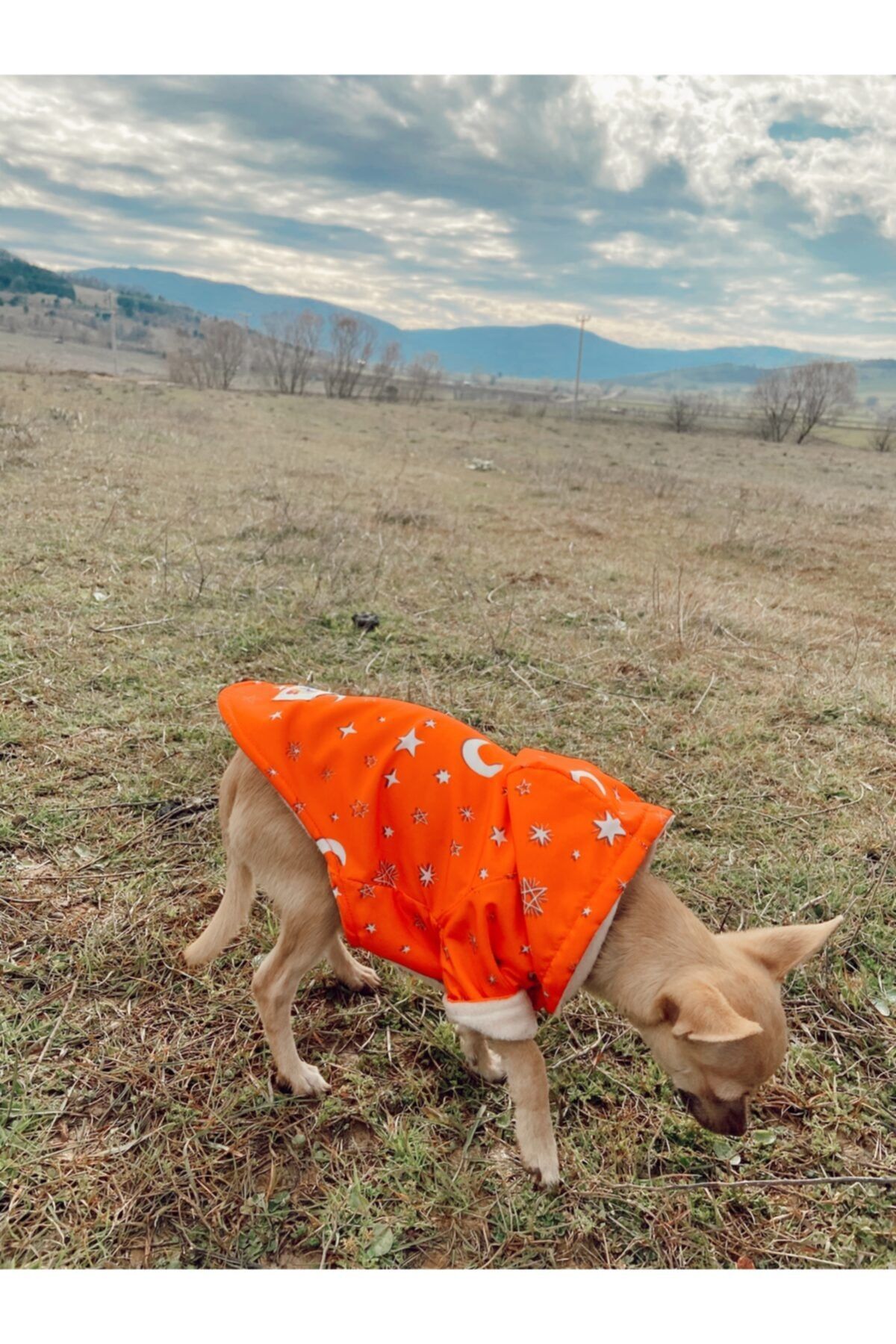 Paws and Marks Turuncu Yıldız Desenli İçi Polarlı Küçük Irk Köpek Yağmurluk Mont