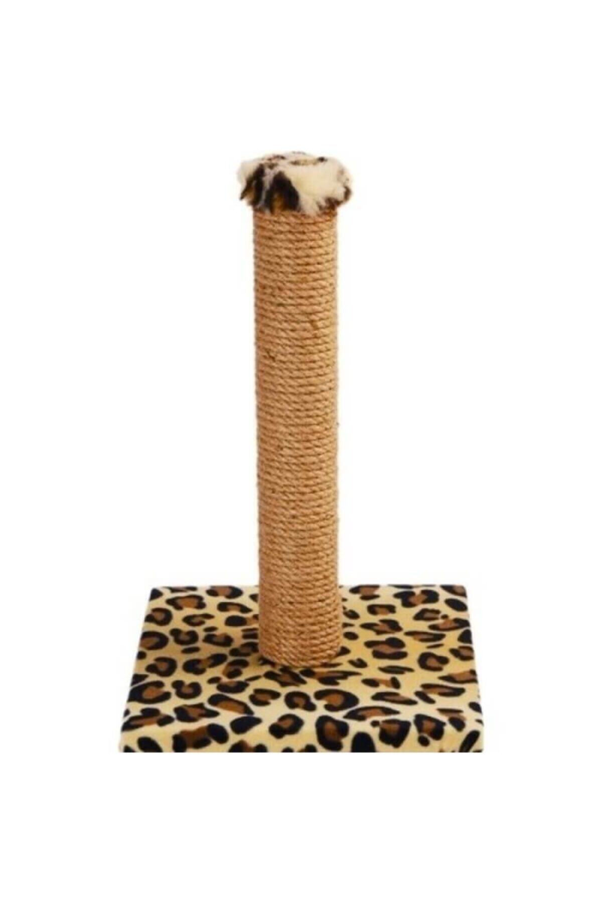 Cathause Leopar Kedi Tırmalama Platformu Kraliyet