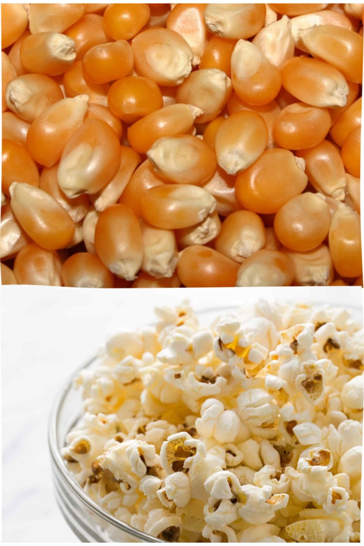 Eaktariye Patlatmalık Mısır 1 Kg