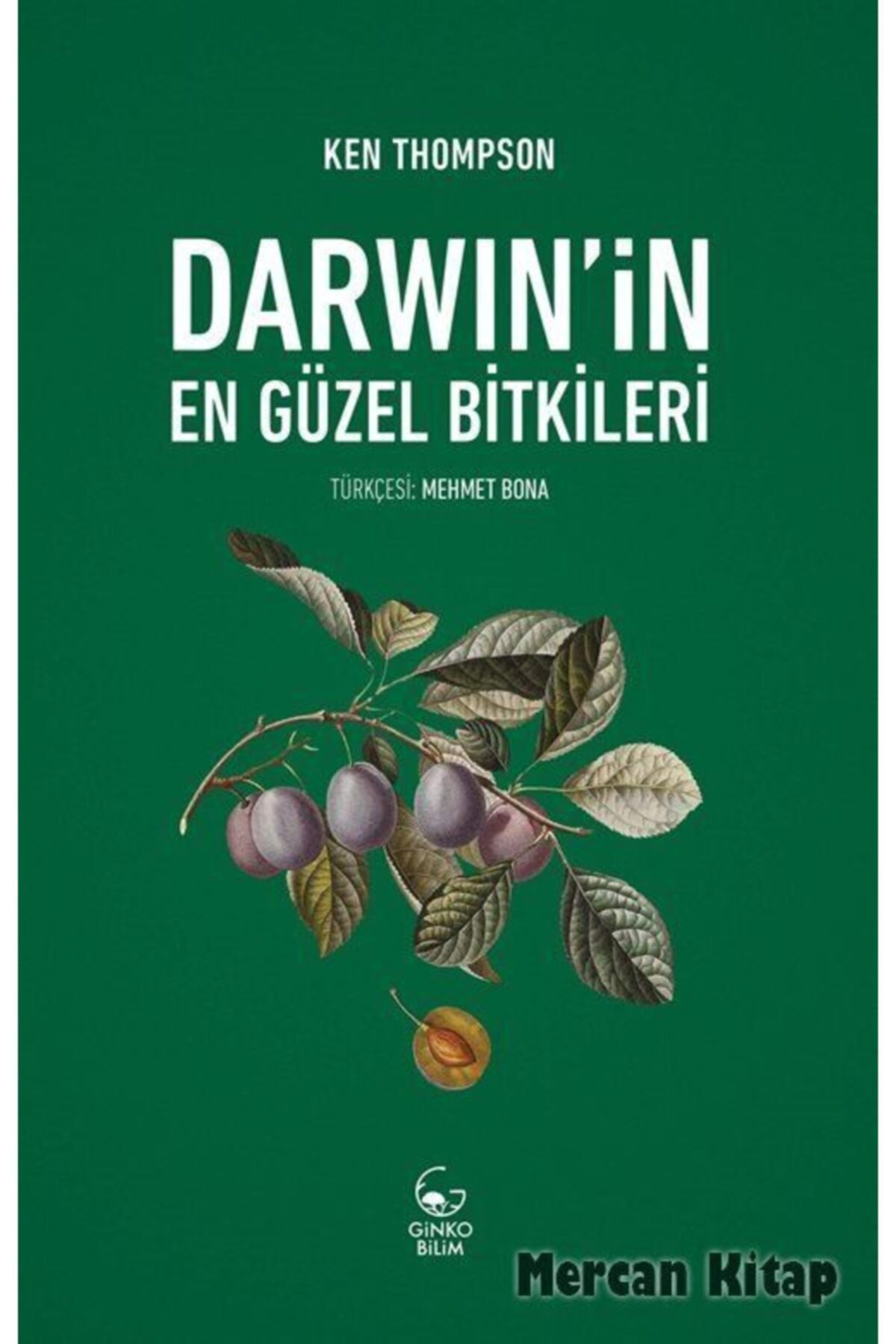 Ginko Bilim Darwin'in En Güzel Bitkileri