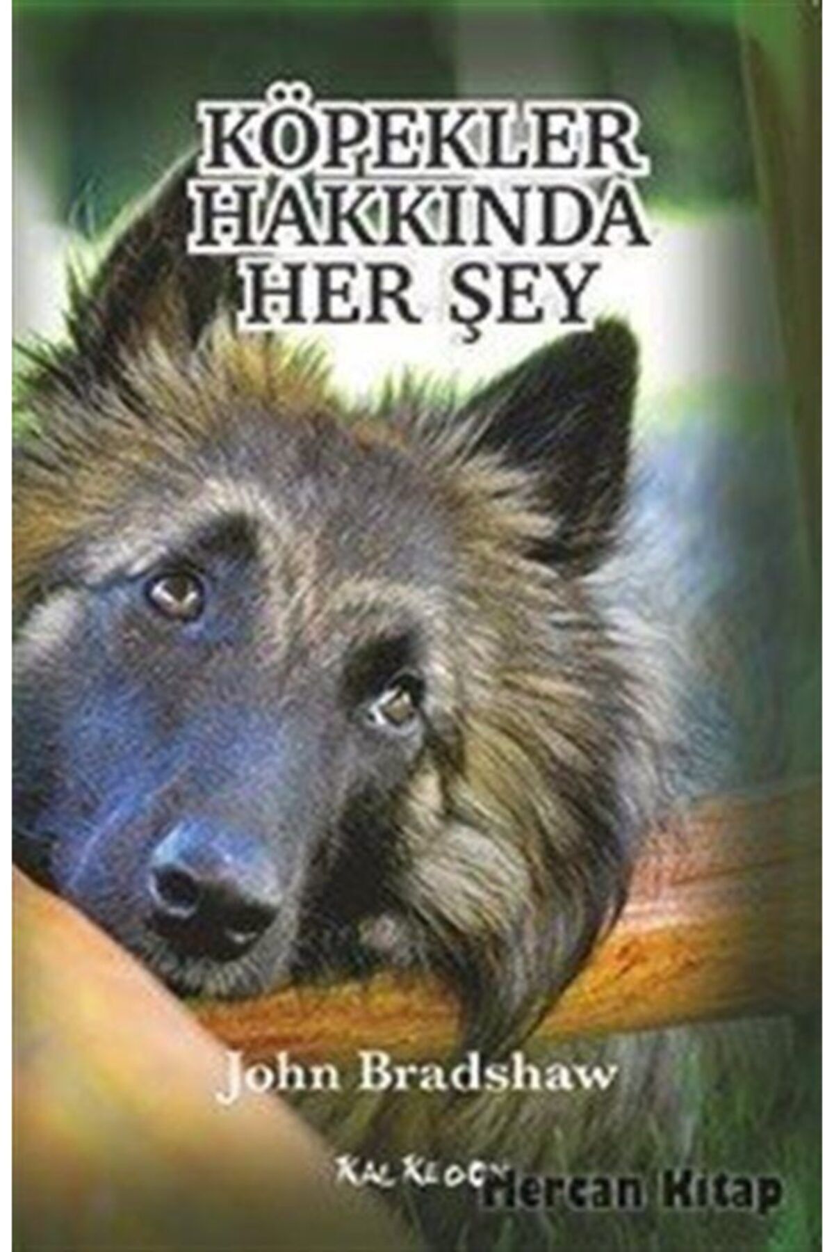 Kalkedon Yayınları Köpekler Hakkında Her Şey