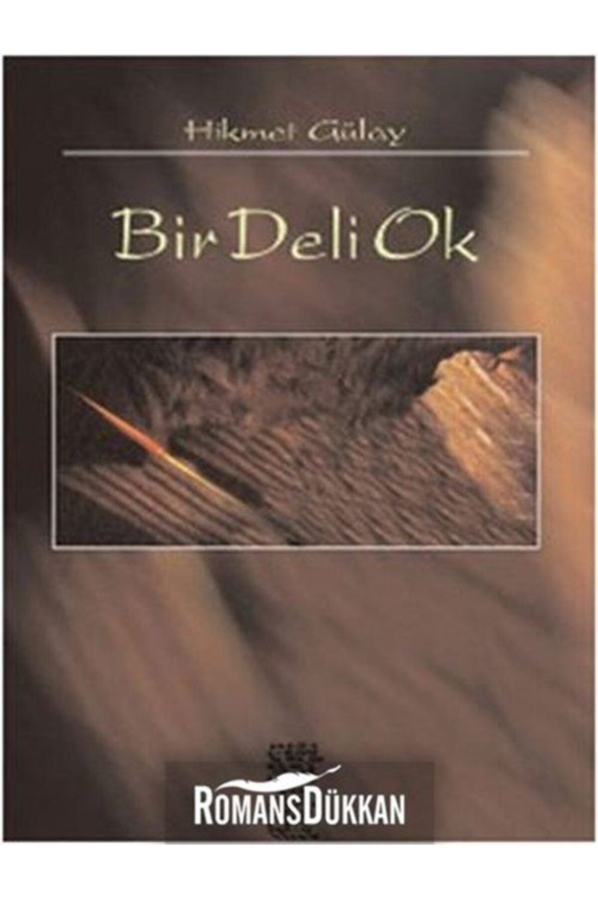 Chiviyazıları Yayınevi Bir Deli Ok