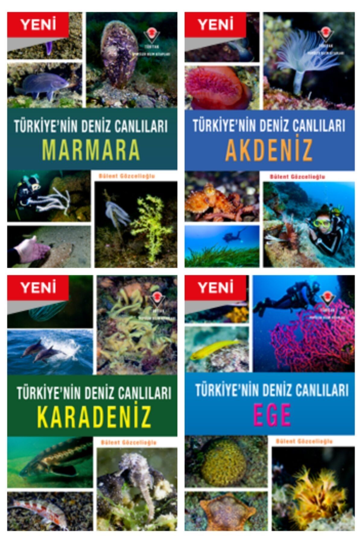 tubitak yayinlari tubitak turkiye nin deniz canlilari serisi 4 kitap fiyati yorumlari trendyol