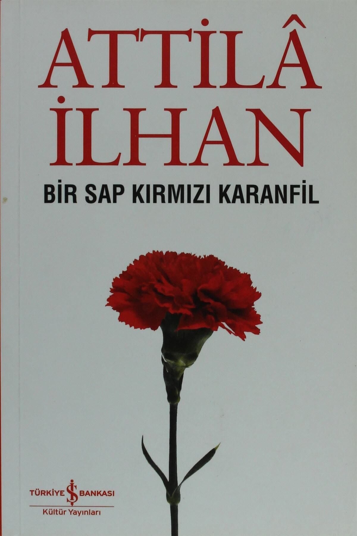 TÜRKİYE İŞ BANKASI KÜLTÜR YAYINLARI Bir Sap Kırmızı Karanfil