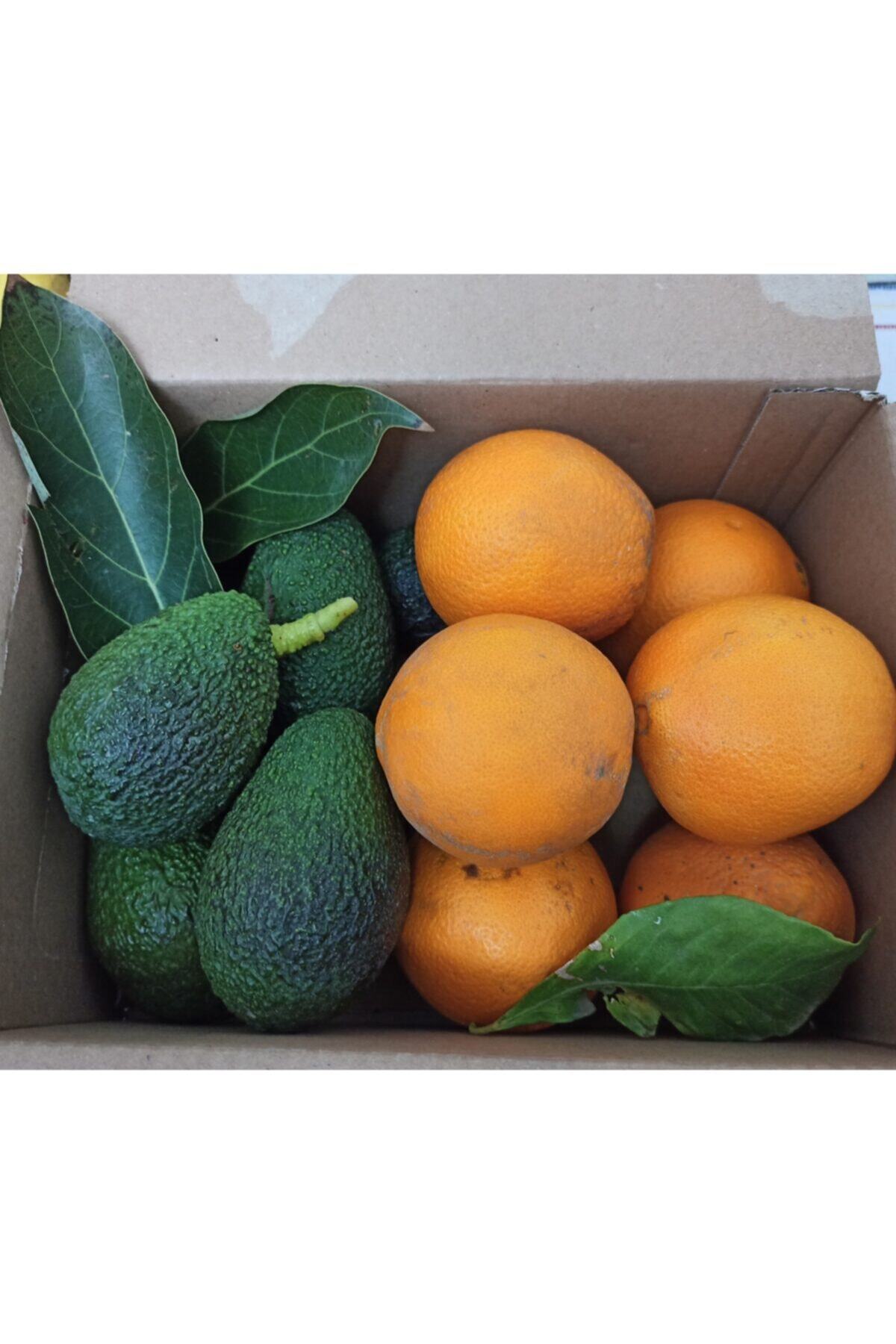 Ecemorganik Veli almaz Avakado 5 Adet 2 Kg Portakal Anamur Mersin