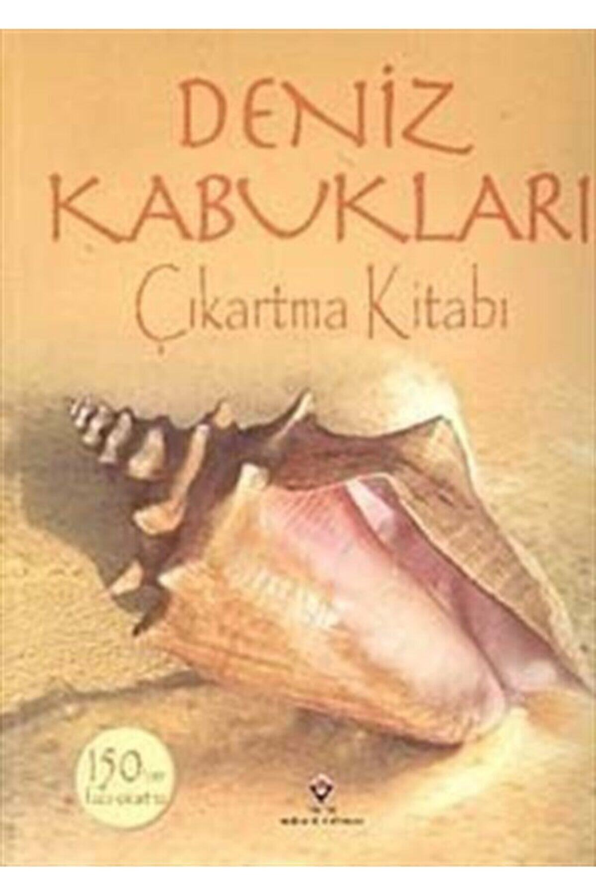 Tübitak Yayınları Deniz Kabukları / Çıkartma Kitabı
