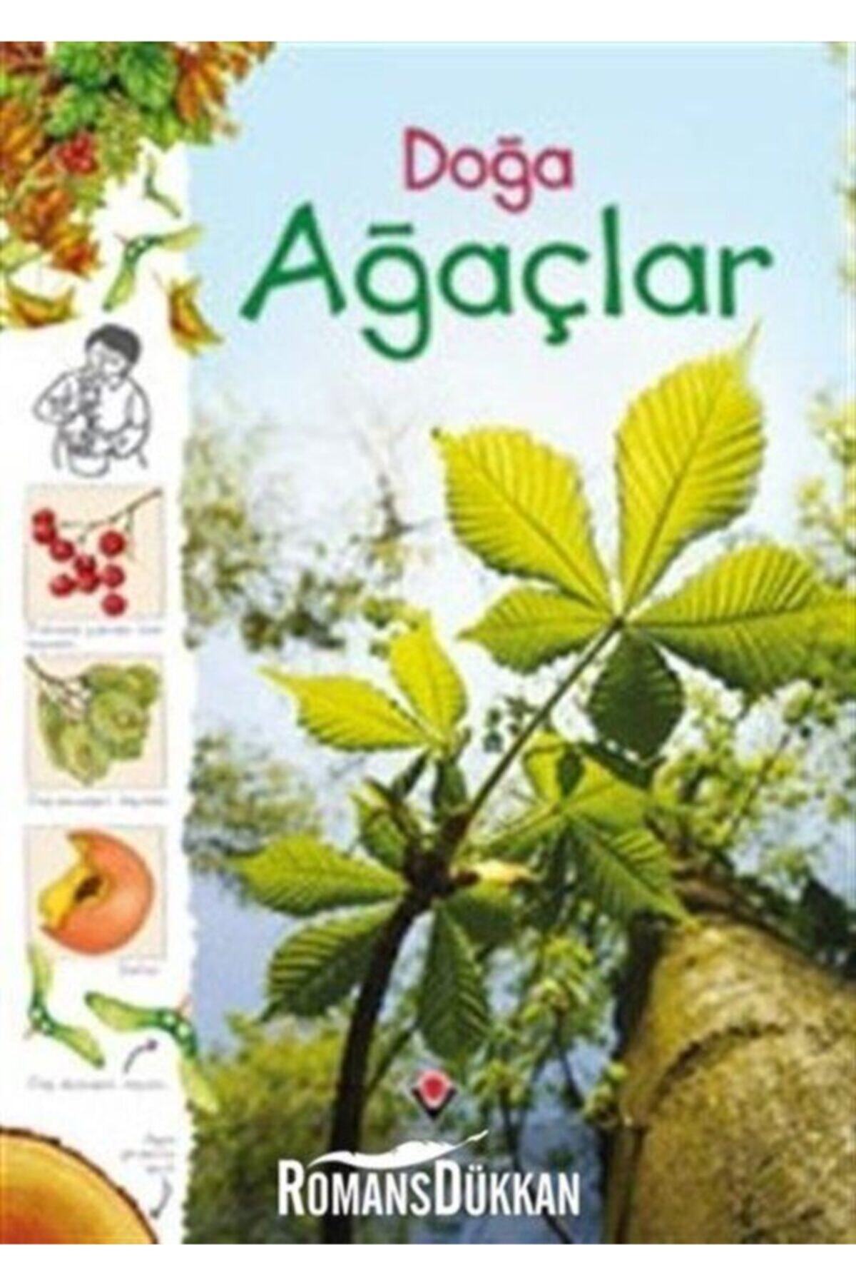 Tübitak Yayınları Doğa-ağaçlar