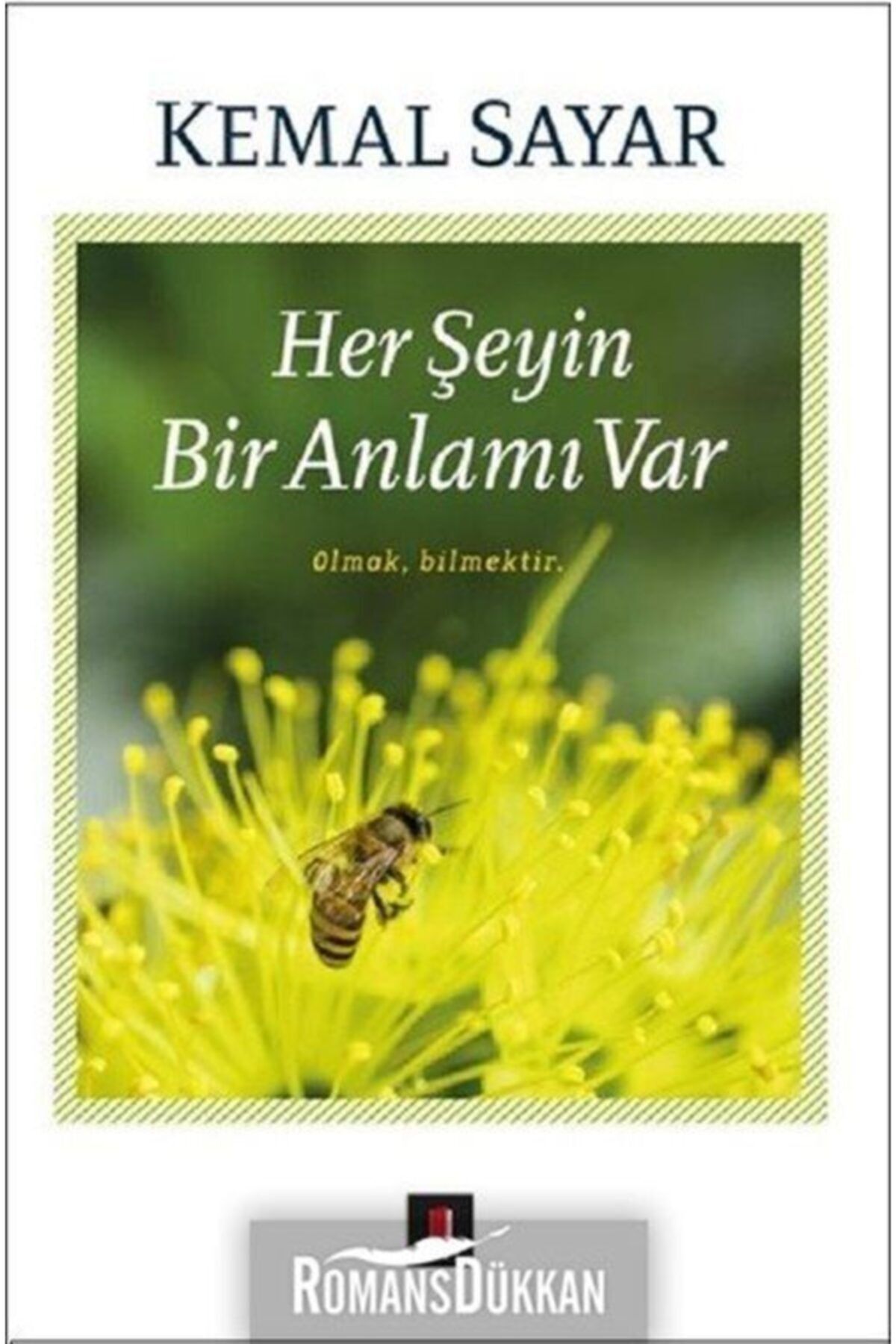 Kapı Yayınları Her Şeyin Bir Anlamı Var