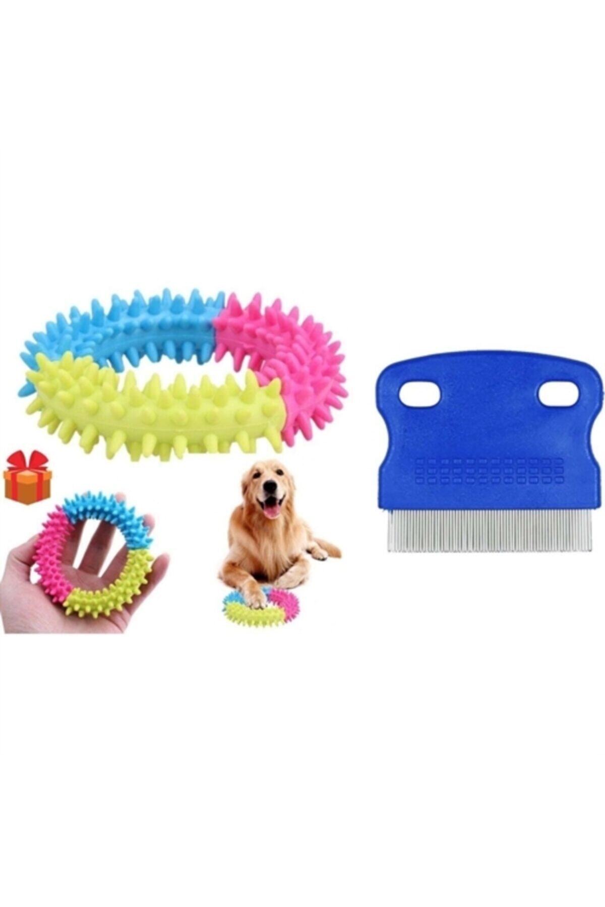 Değerli Kaktüskedi Köpek Diş Kaşıma Isırma Oyuncağı + Bit Tarağı Hediyeli 711806