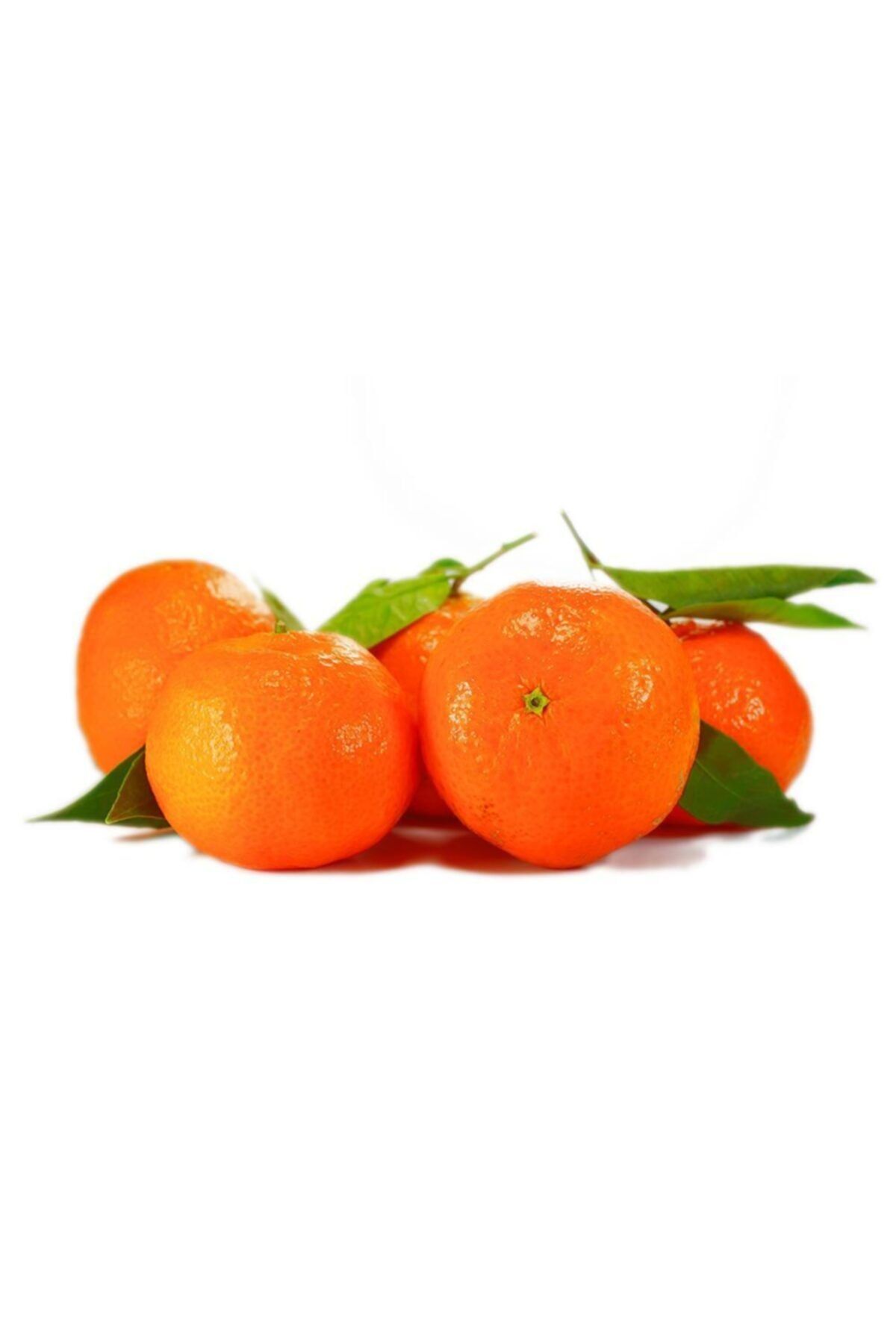 TROPİK SEPETİ Mandalina 1 kg