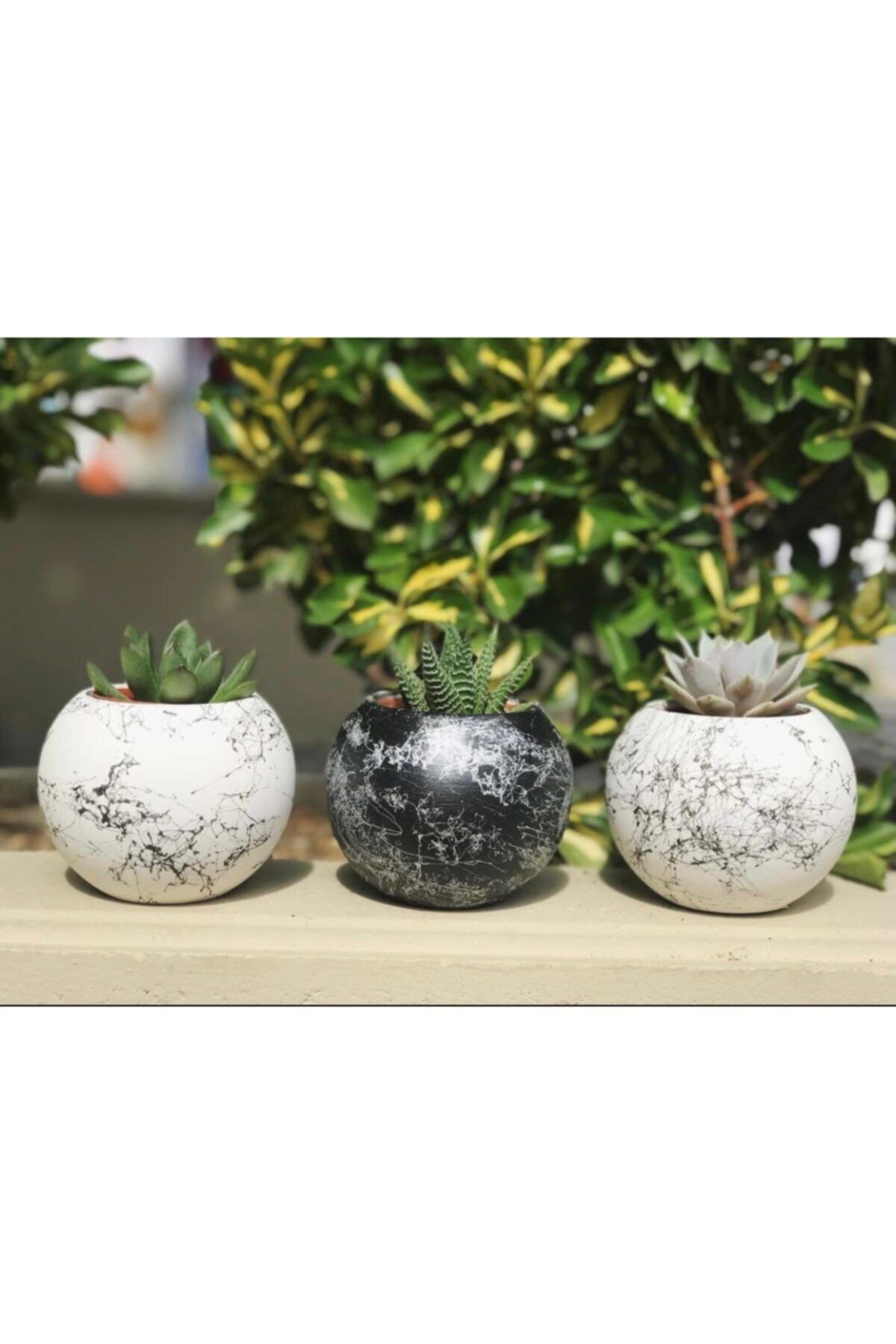 Big Craft Yuvarlak Model Mermer Desenli Beton Saksı Saksılıkkaktüslükm