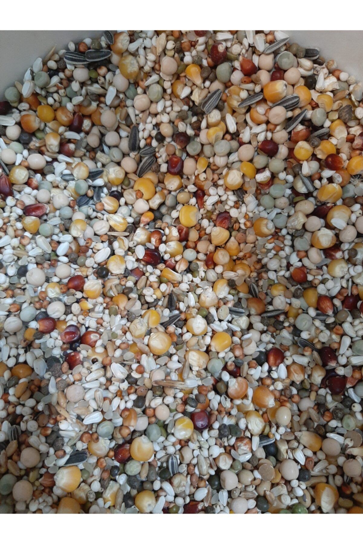 İKSİR PROF KUŞ MAMASI Güvercin Yemi 5 Kg