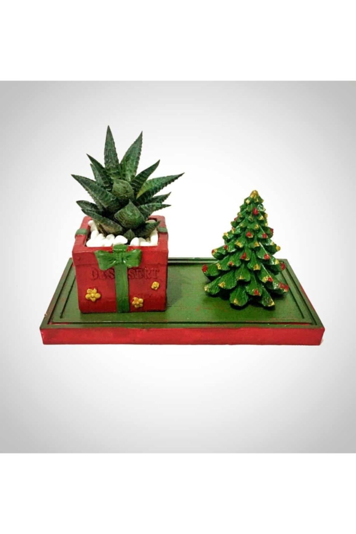 modesign Yılbaşı Çamı Kokulu Taş Ve Sukulent Takımı