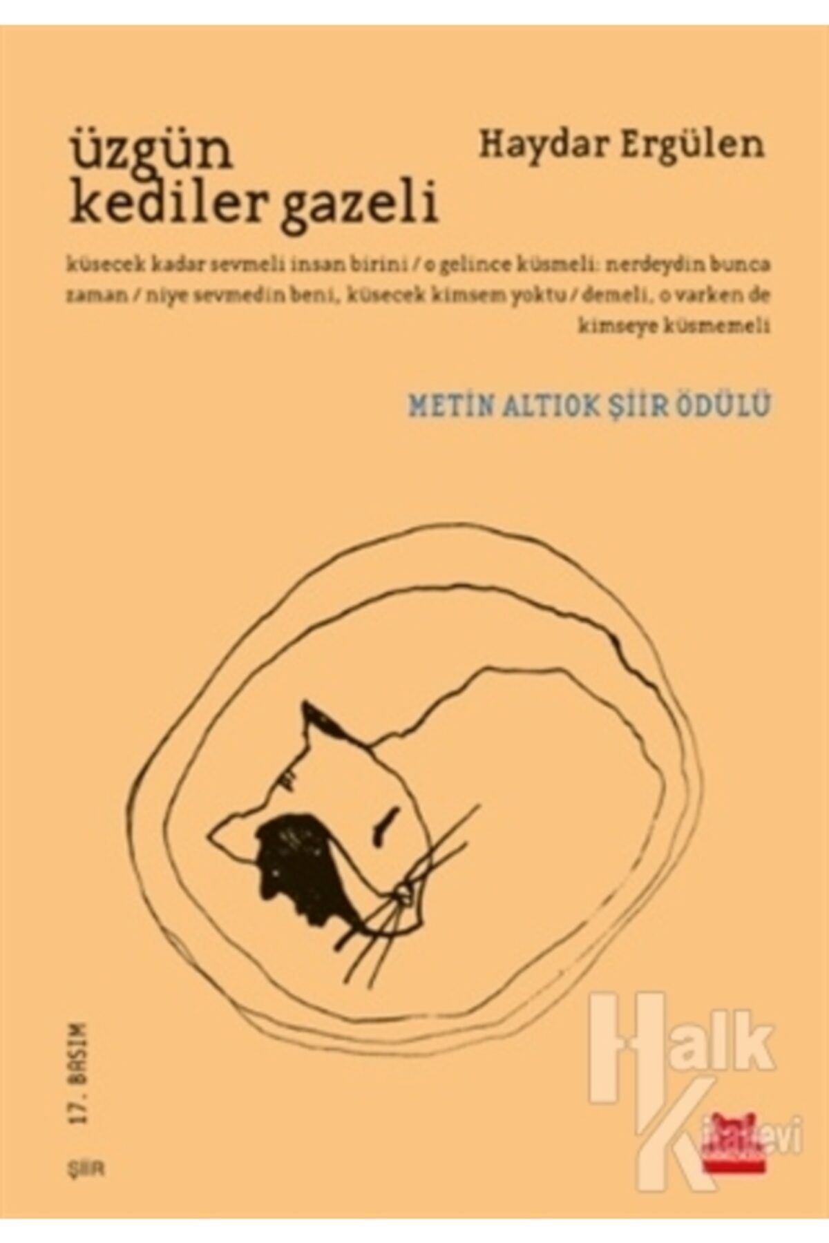 Kırmızı Kedi Yayınevi Üzgün Kediler Gazeli