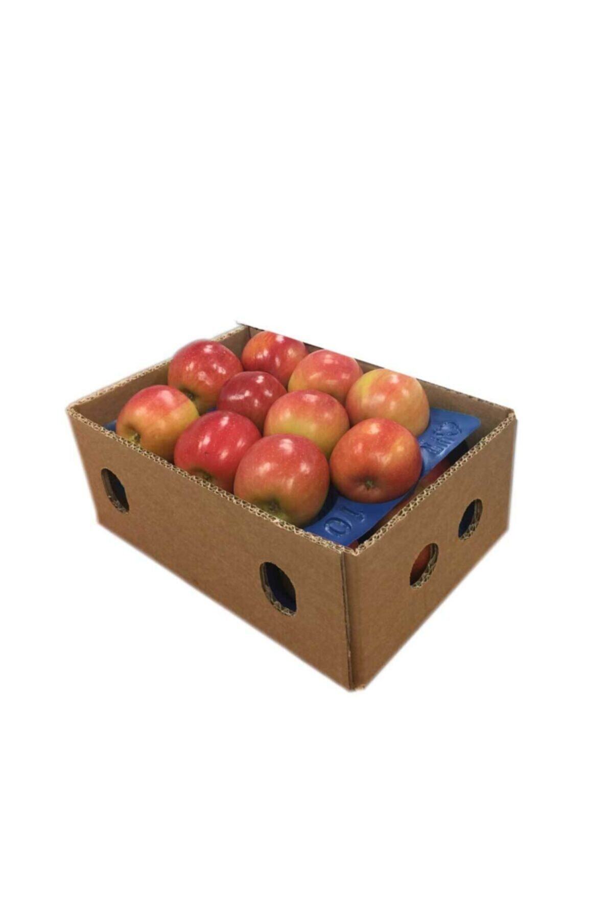 Demet'in Bahçesi Fuji Elma (5 kg)