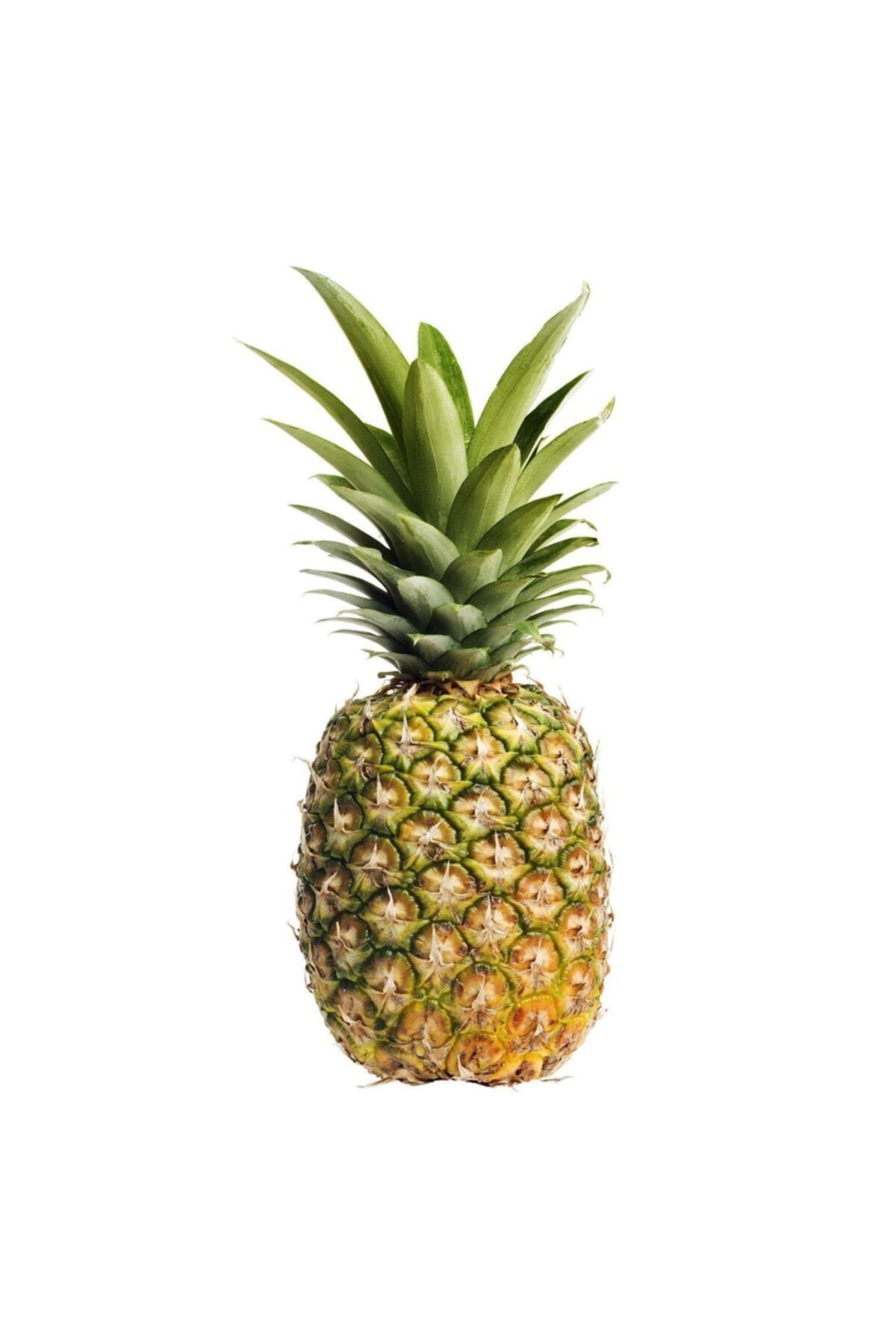 TROPİK SEPETİ Ananas - 1 Adet