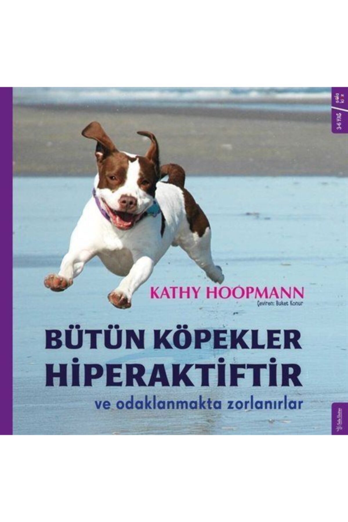 Sola Kidz Bütün Köpekler Hiperaktiftir Ve Odaklanmakta Zorlanırlar