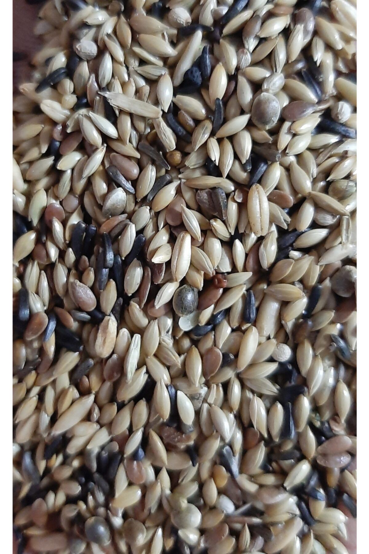 İKSİR PROF KUŞ MAMASI Süper Karışık Kanarya Yemi 1 Kg
